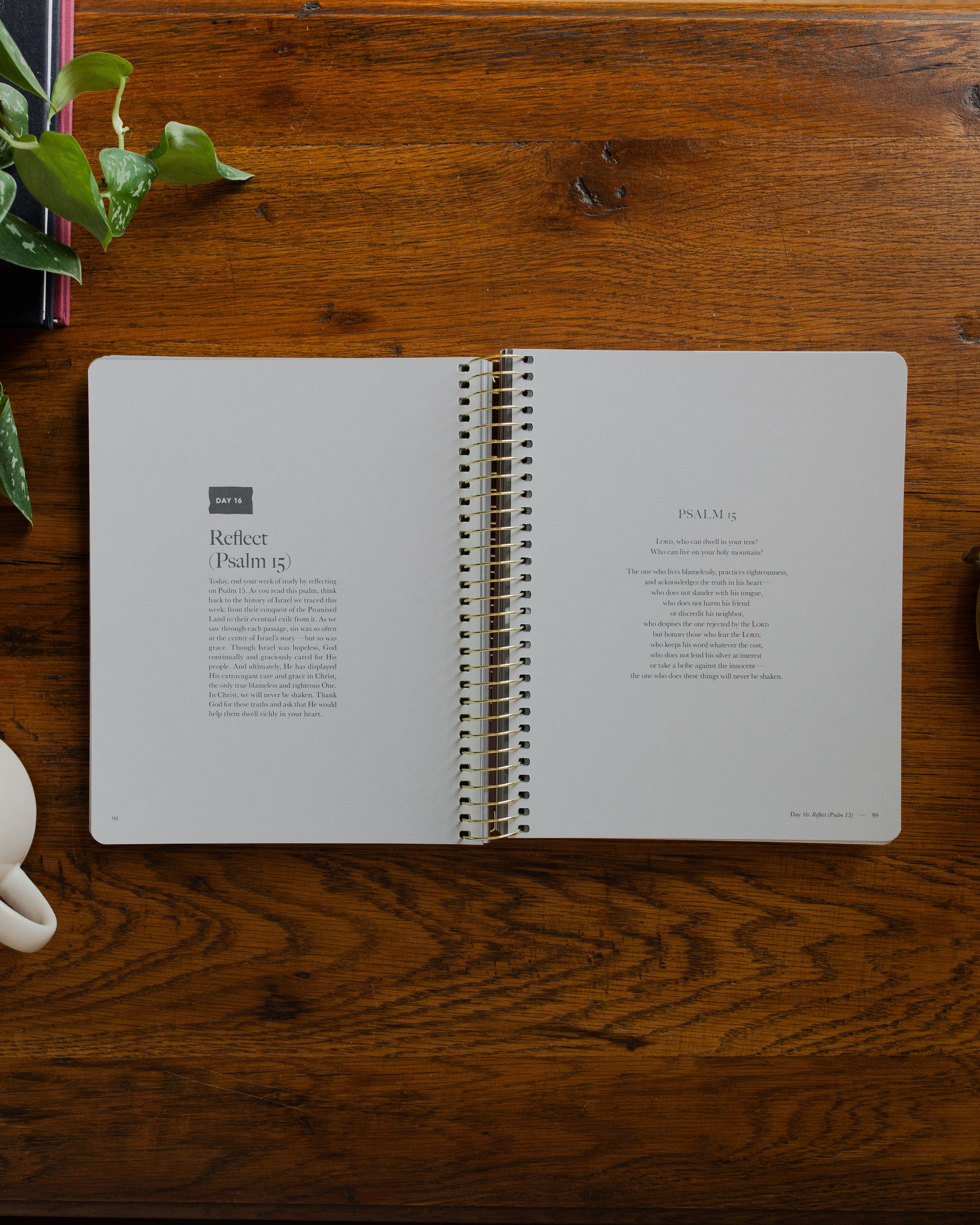 The Daily Grace Co - Clinging to the Cross | Lent Bible Study