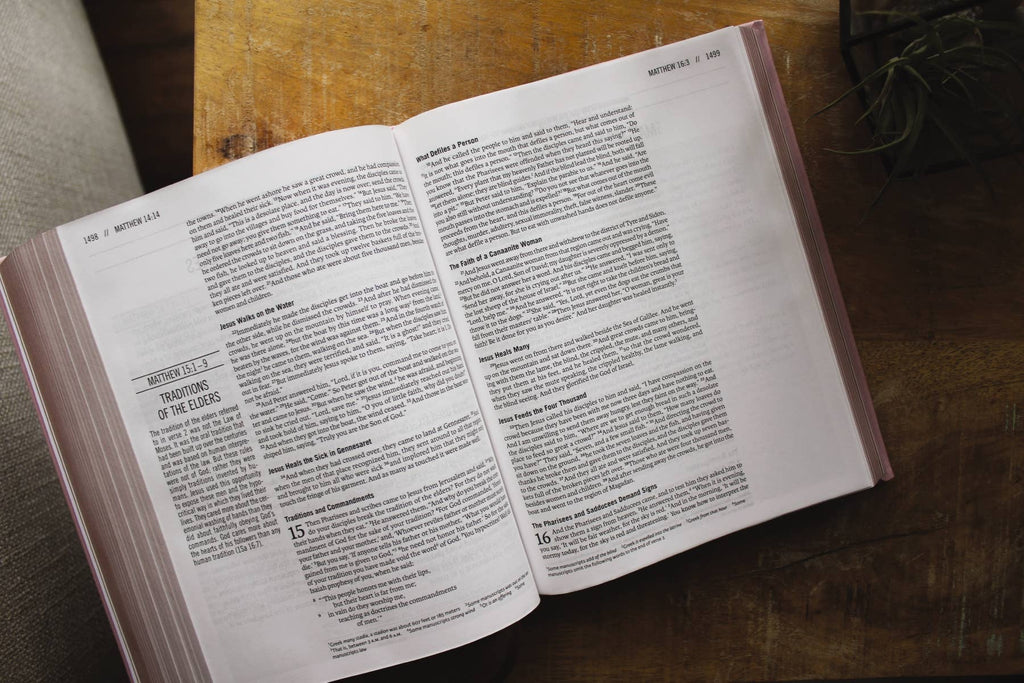 HarperCollins Christian Publishing - ESV The Jesus Bible Leathersoft Over Board Pink