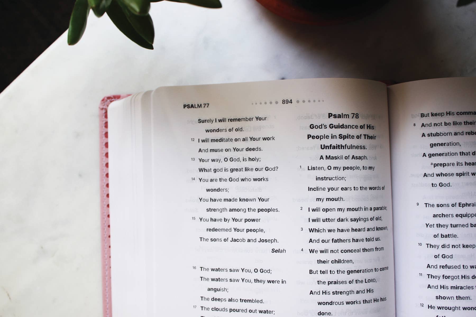HarperCollins Christian Publishing - NASB, Clear Focus Bible, Leathersoft, Pink
