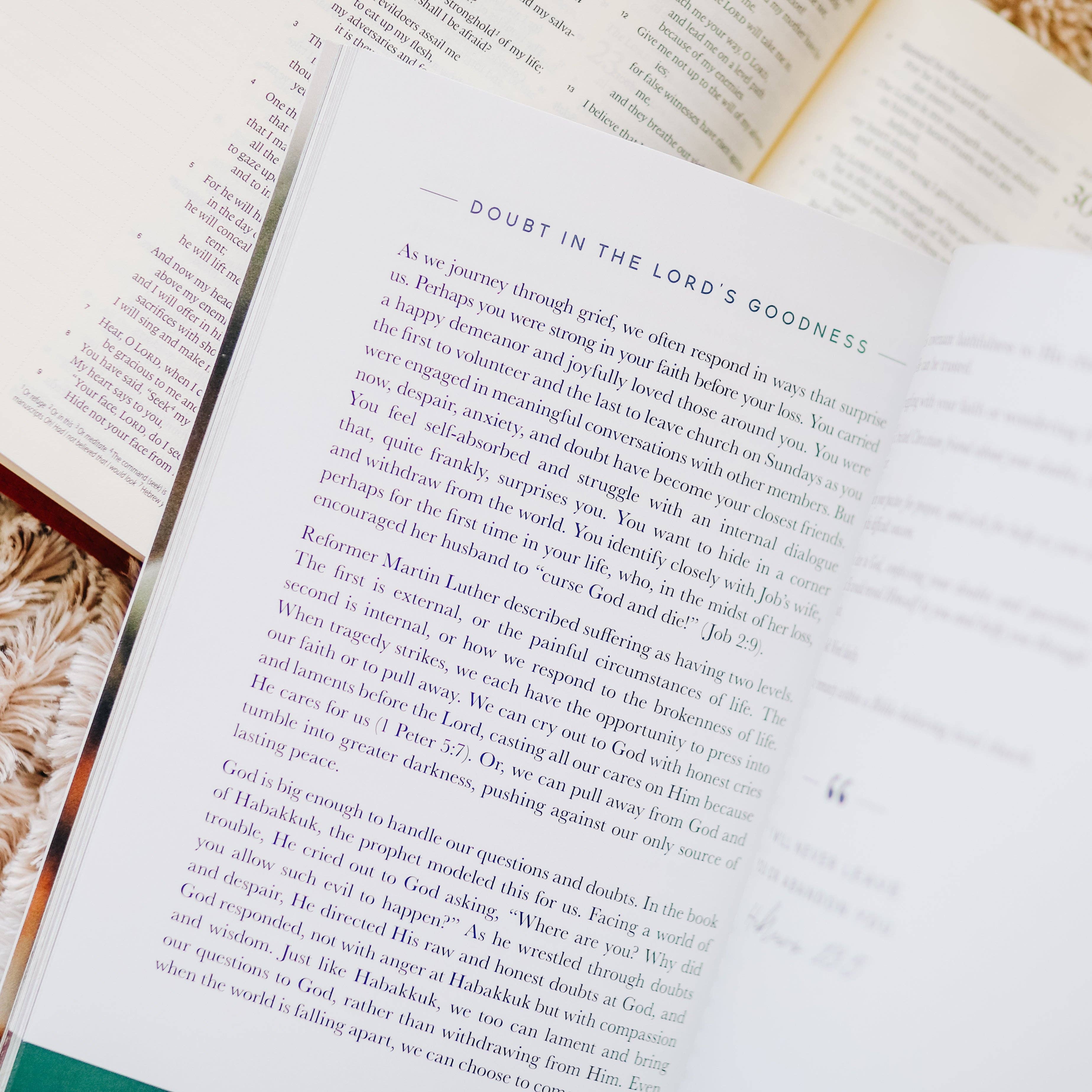 The Daily Grace Co - Gospel Hope in Grief and Loss