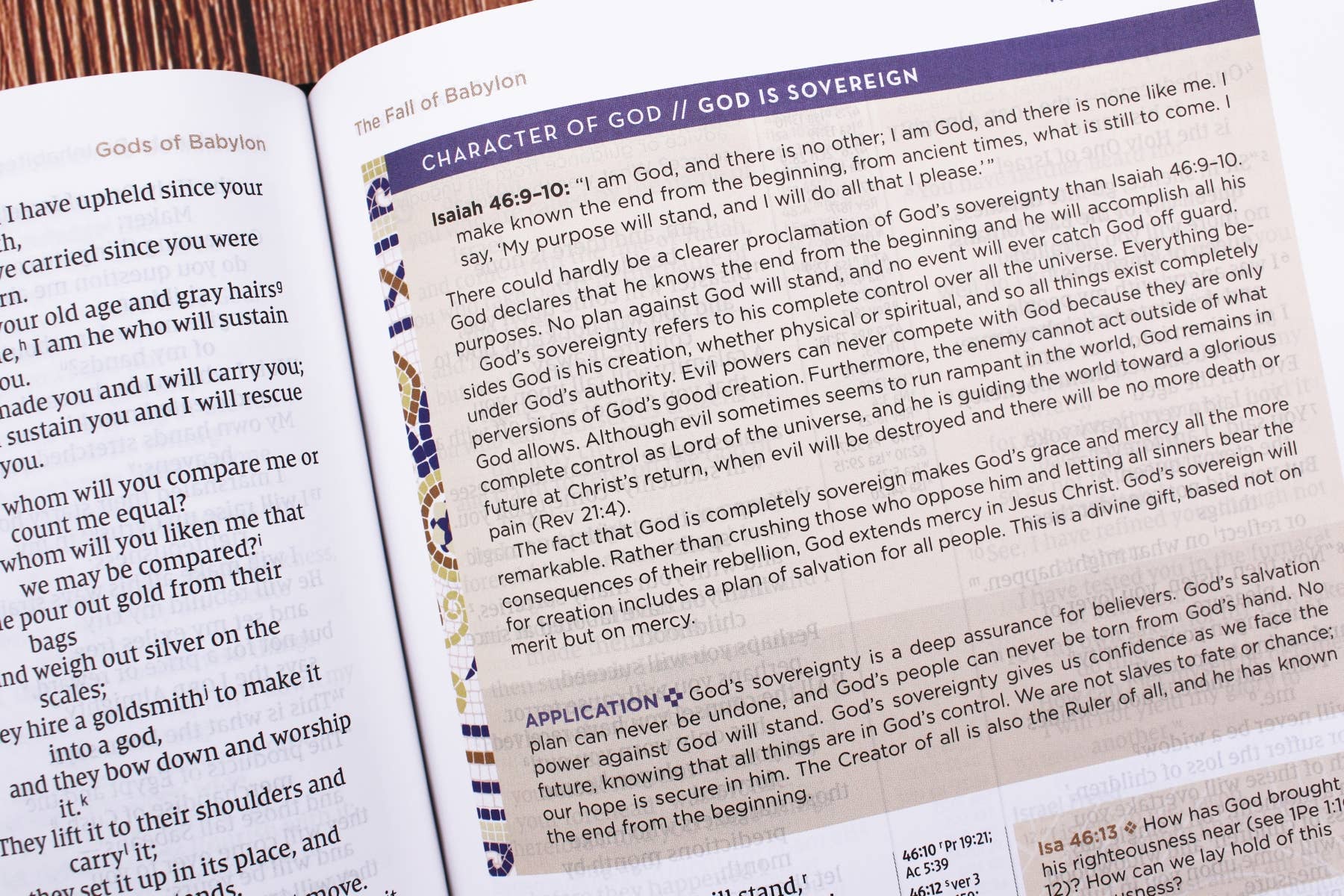 HarperCollins Christian Publishing - NIV Application Bible Leathersoft Brown Red Letter