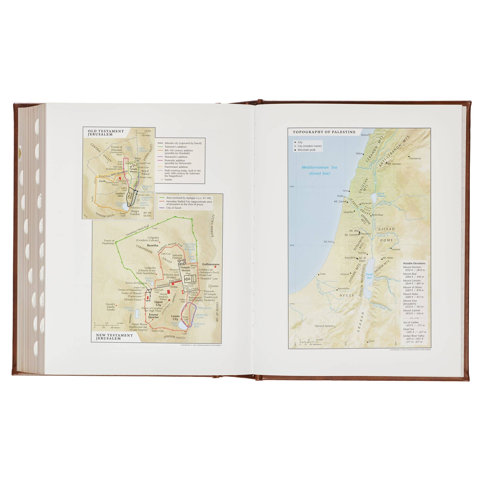 Christian Art Gifts - NLT, The Family Heritage Bible Hardcover, Brown