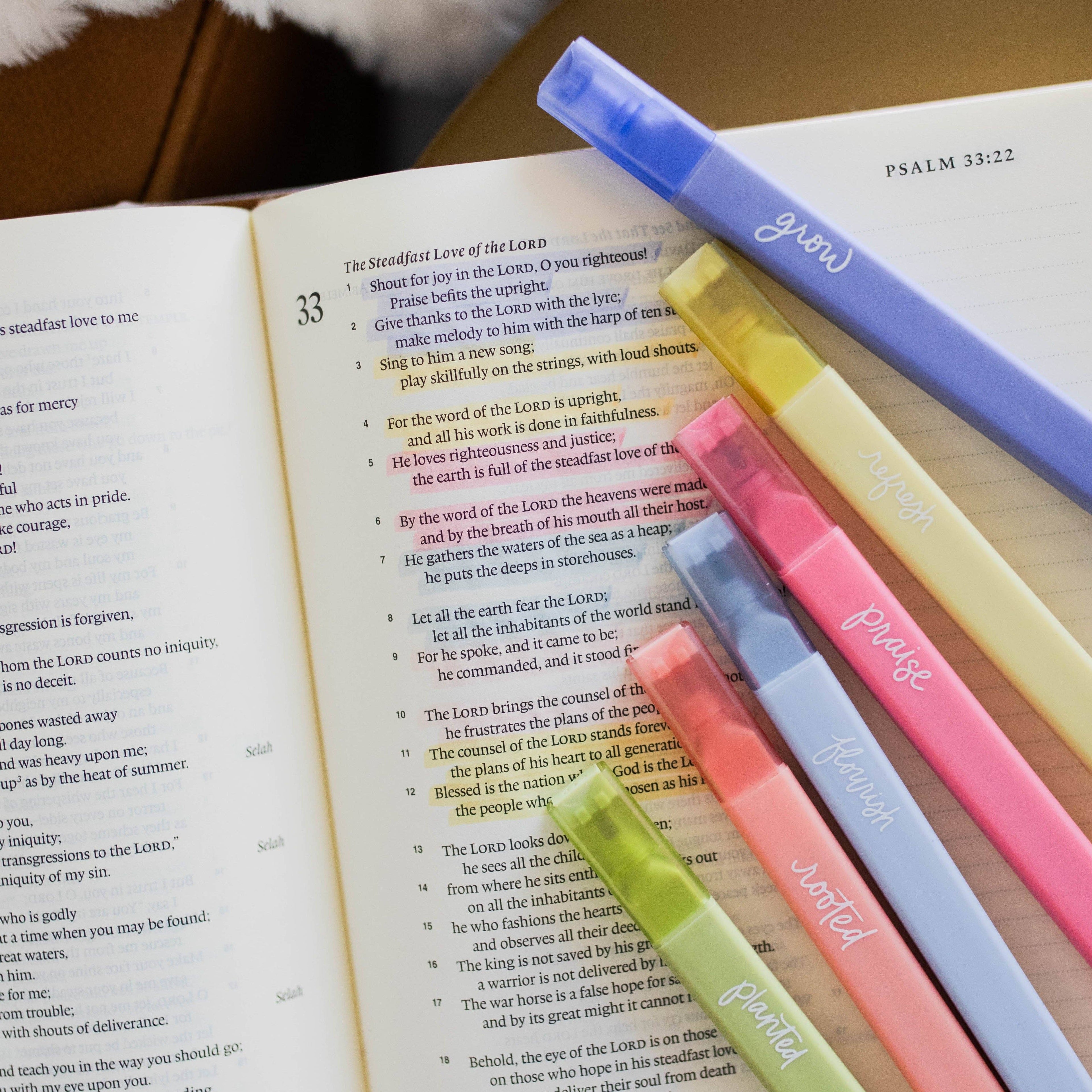 The Daily Grace Co - Garden Highlighters