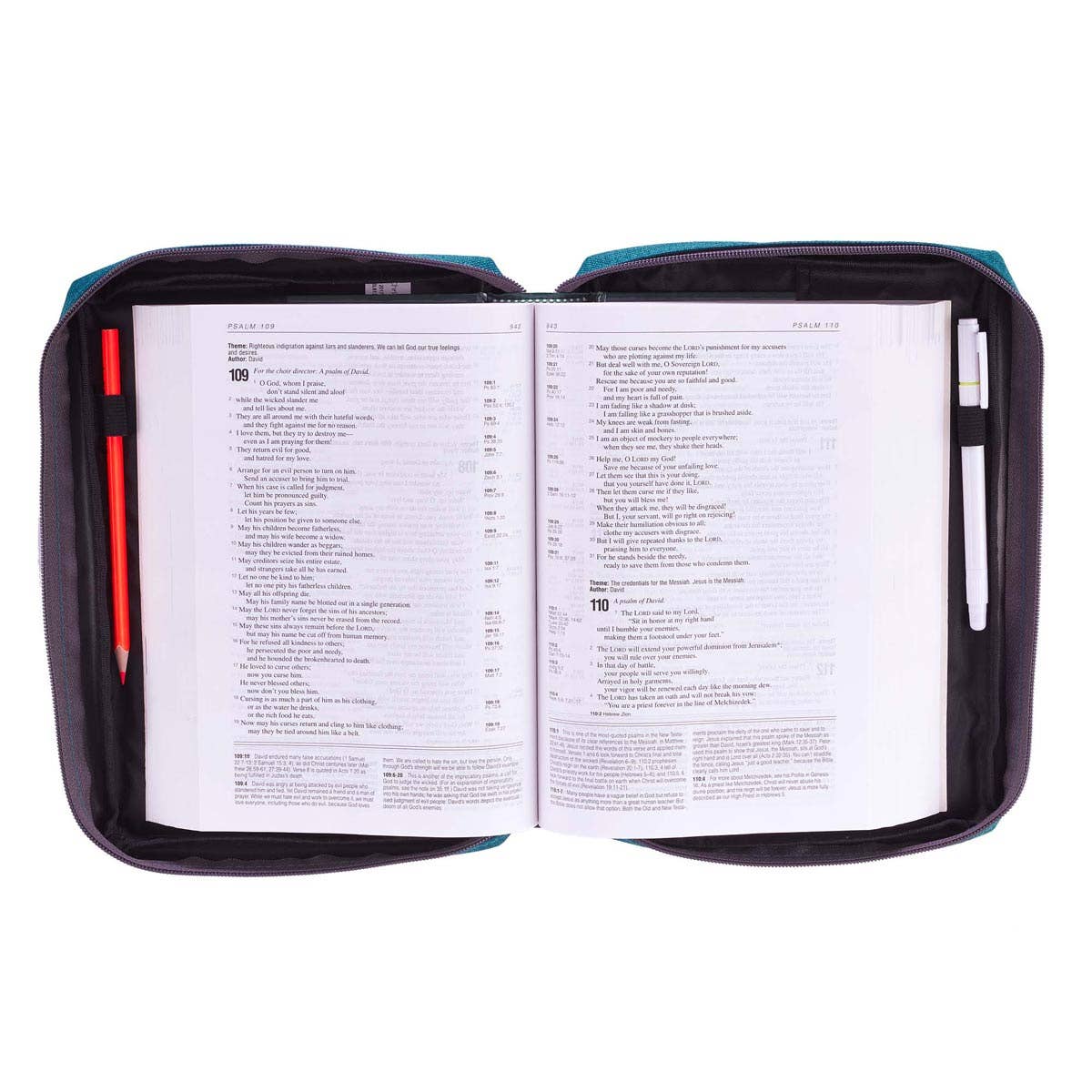 Christian Art Gifts - Bible Cover Value Teal Ichthus Patch