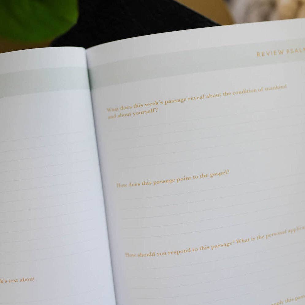 The Daily Grace Co - He Leads Me Bible Study