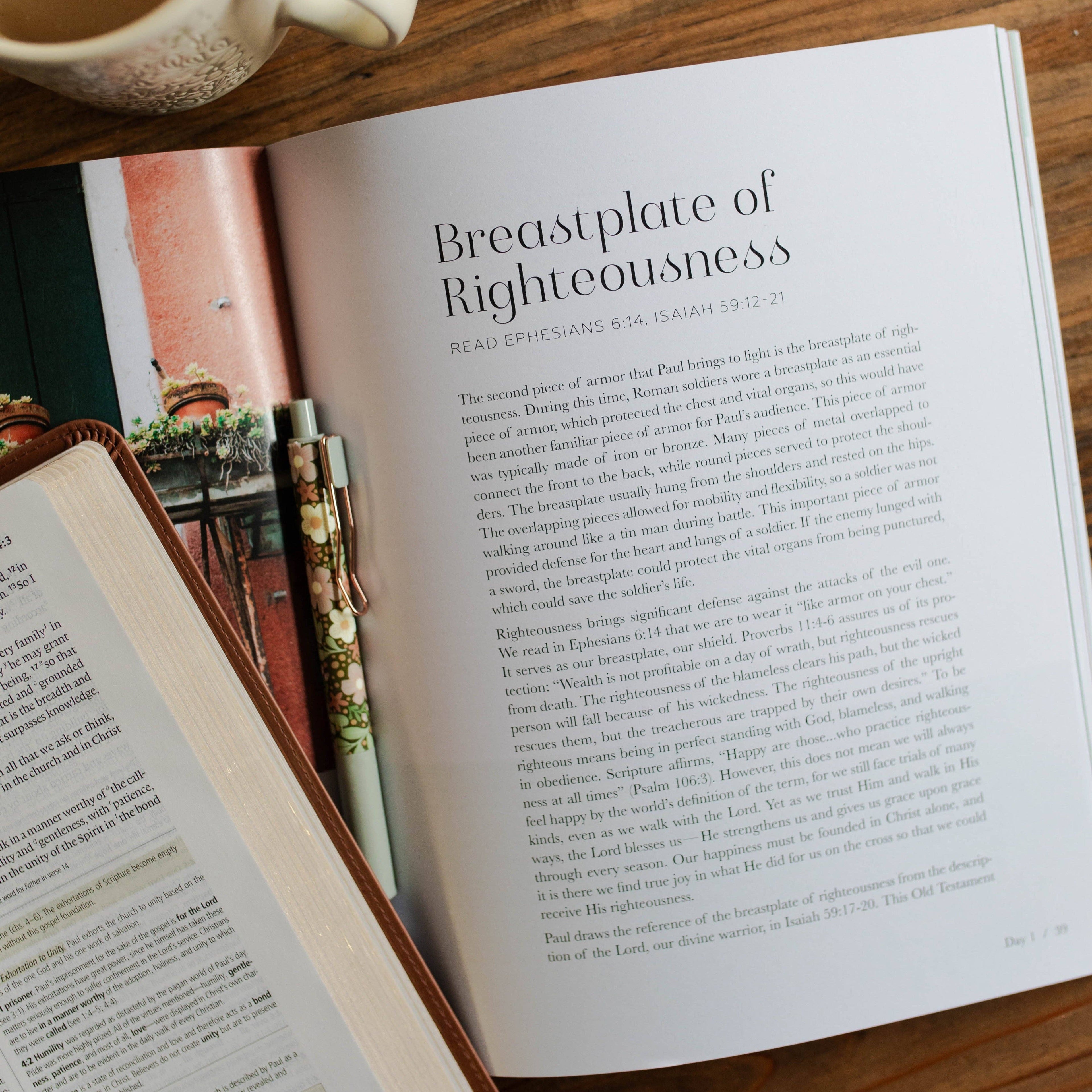 The Daily Grace Co - Stand Firm | Armor of God Study
