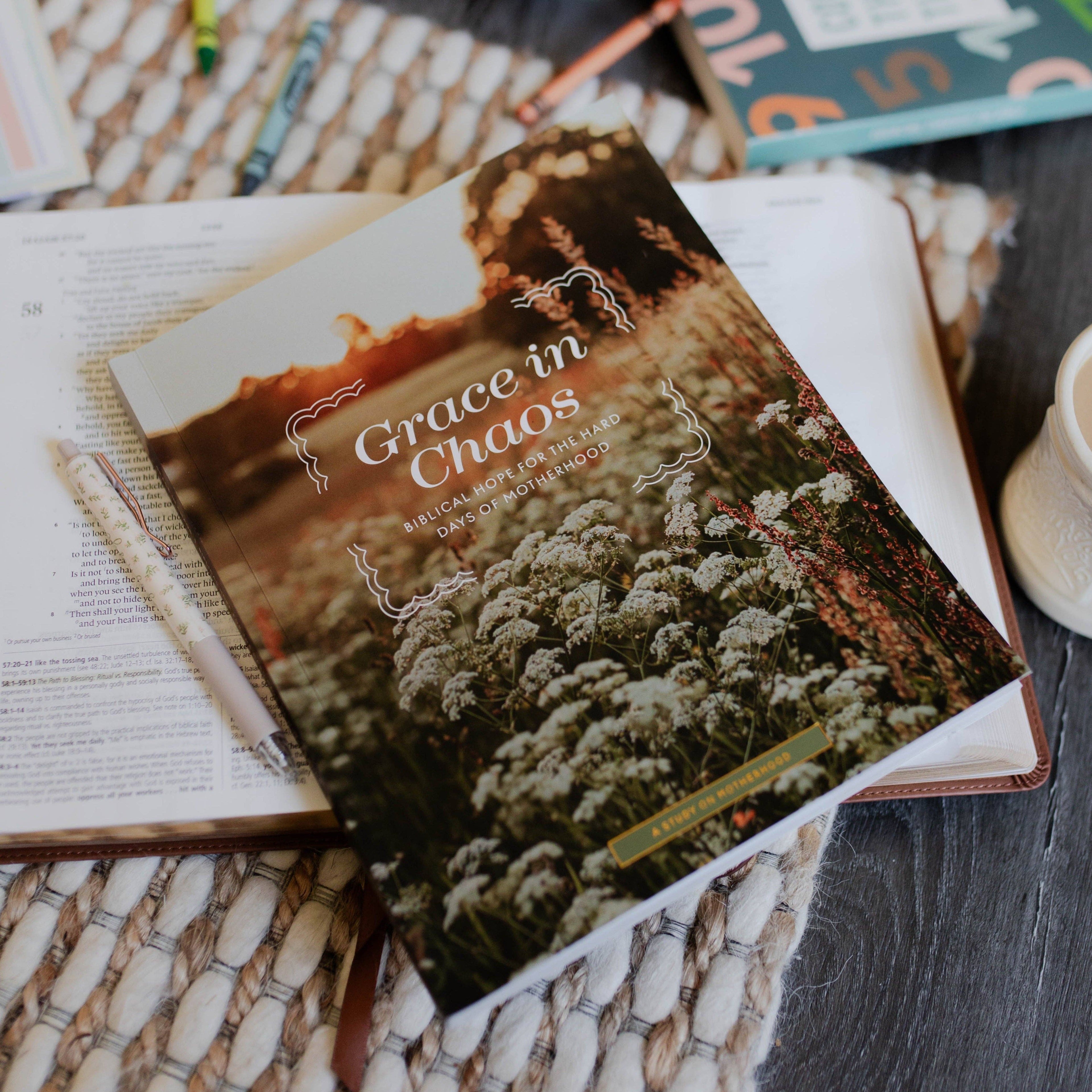 The Daily Grace Co - Grace in Chaos | Biblical Hope for the Hard Days of Motherhood