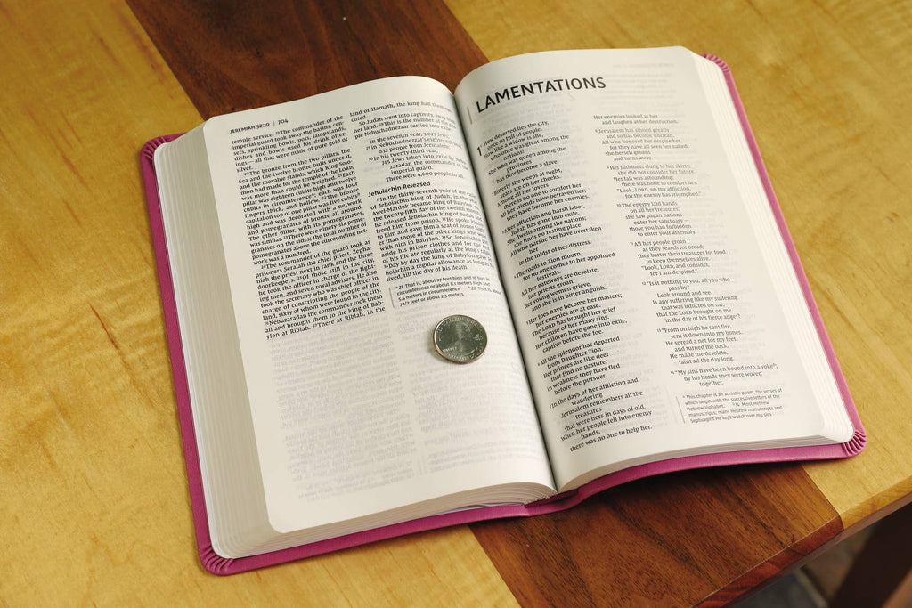 HarperCollins Christian Publishing - NIV Value Thinline Bible Leathersoft Pink