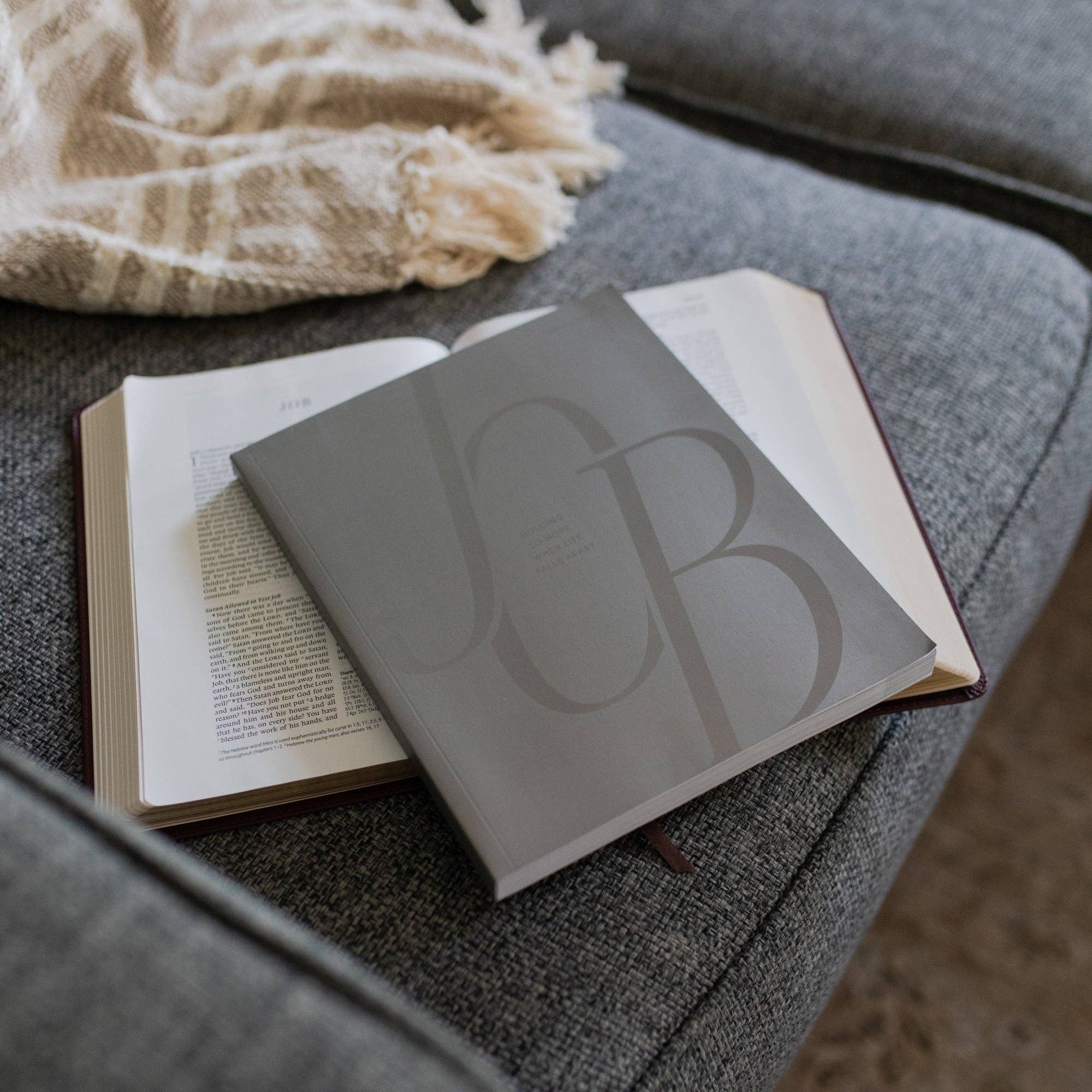 The Daily Grace Co - Job Bible Study
