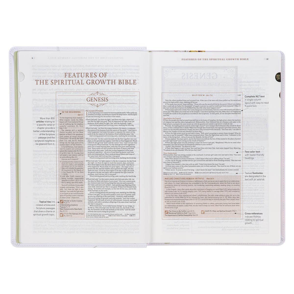 Christian Art Gifts - Cream Floral Spiritual Growth Bible New Living Translation