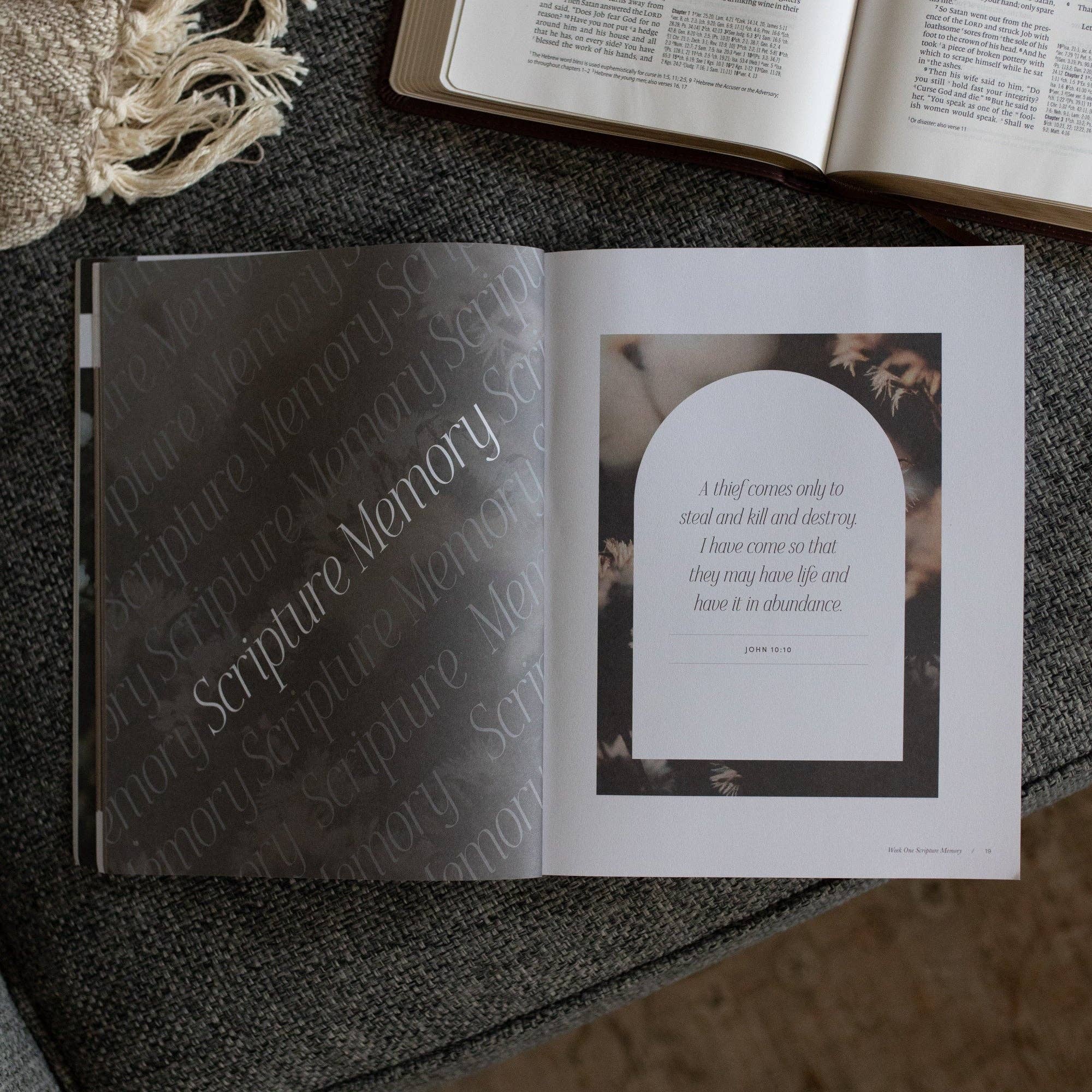 The Daily Grace Co - Job Bible Study