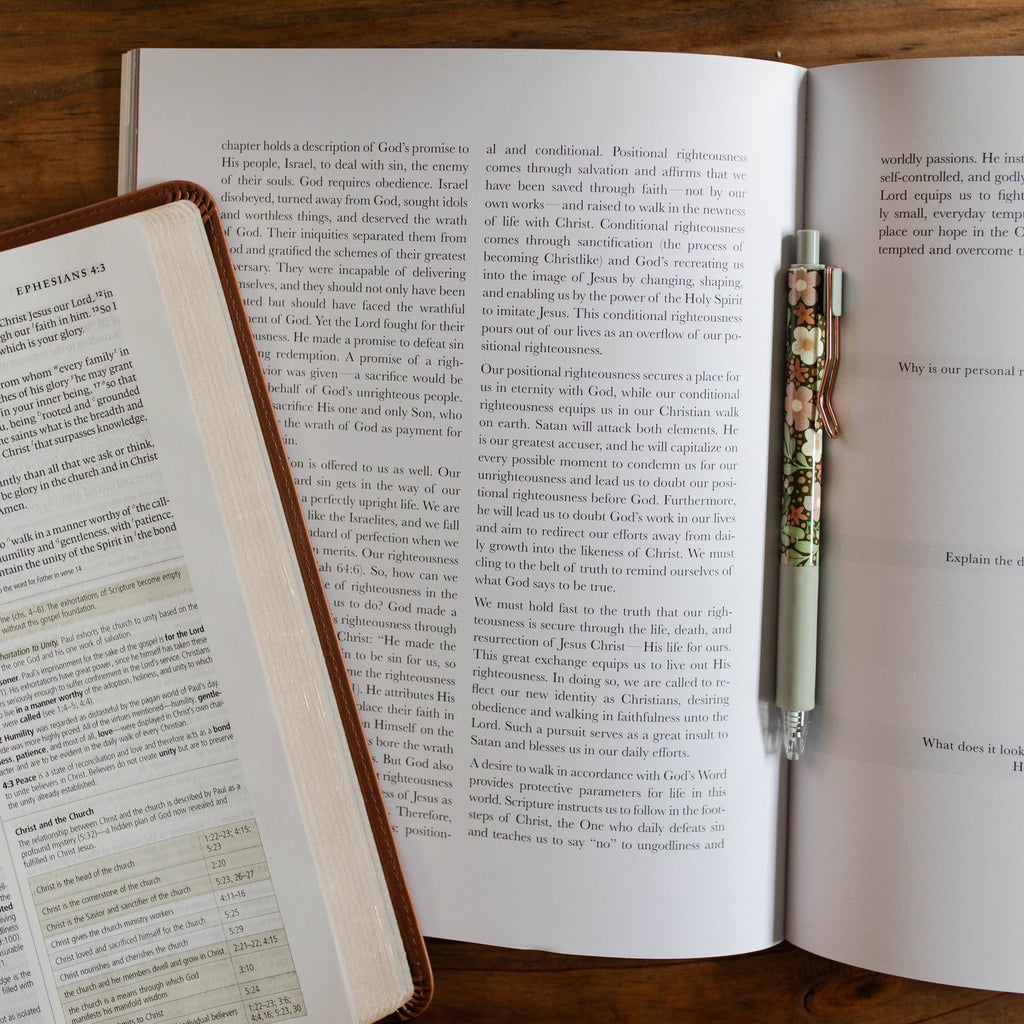 The Daily Grace Co - Stand Firm | Armor of God Study
