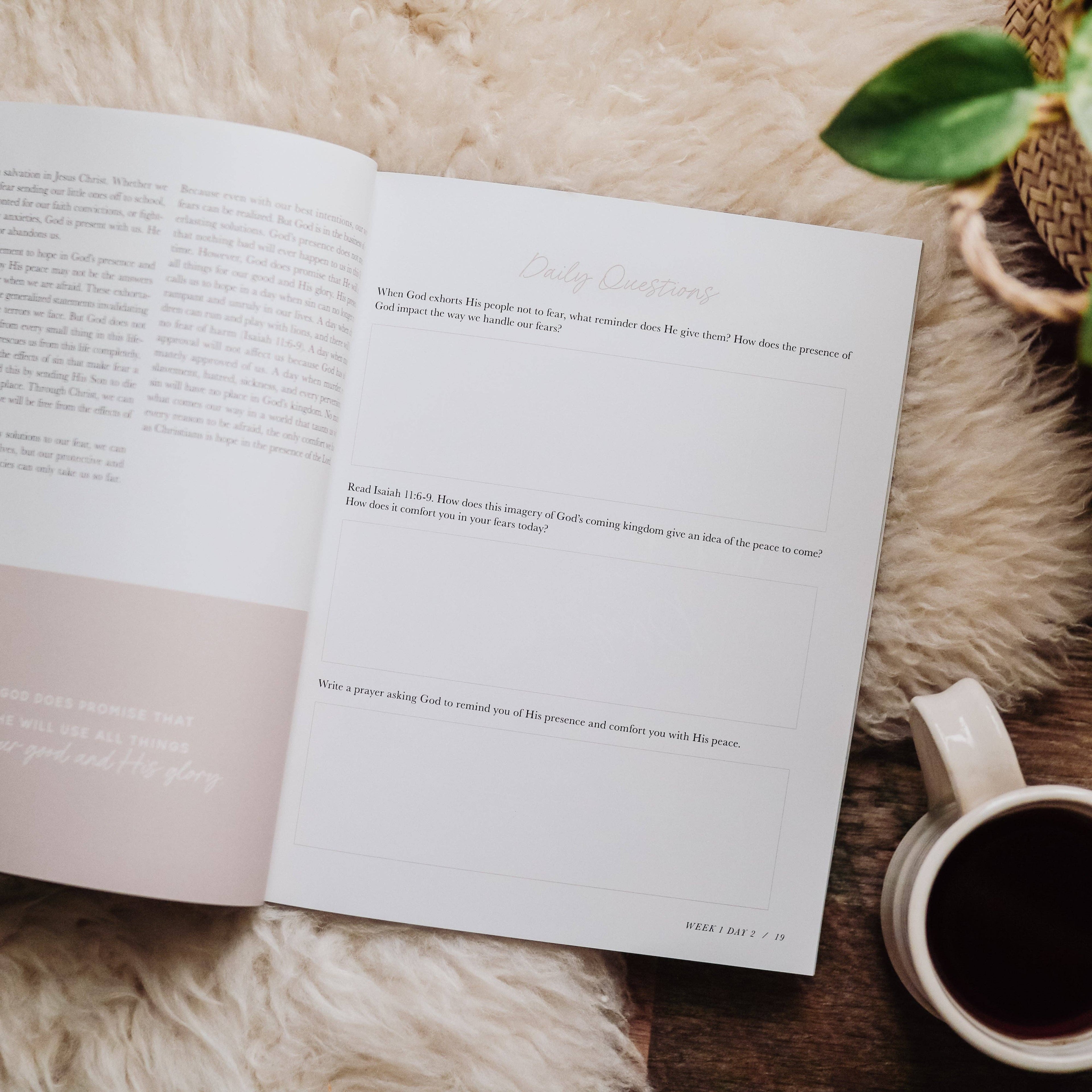The Daily Grace Co - When Fear Meets Faith
