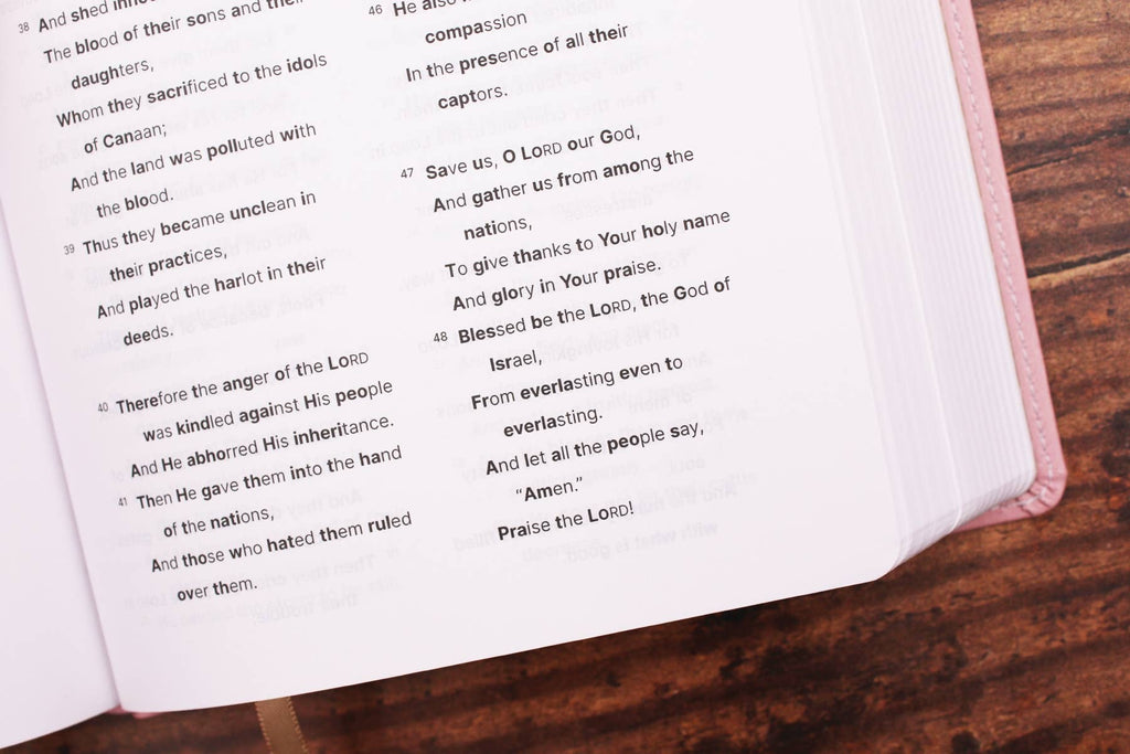 HarperCollins Christian Publishing - NASB, Clear Focus Bible, Leathersoft, Pink