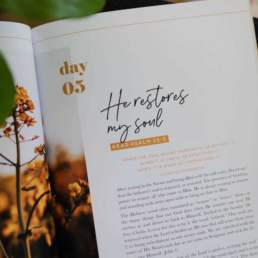 The Daily Grace Co - He Leads Me Bible Study