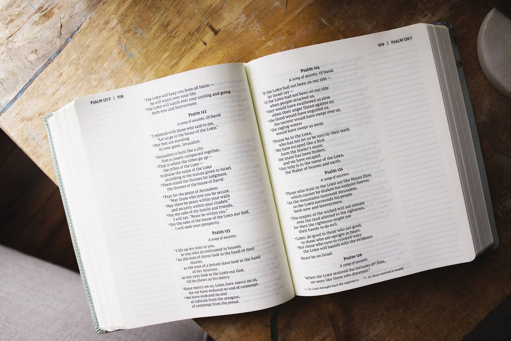 HarperCollins Christian Publishing - NIV Artisan Collection Bible LP Leathersoft Sage Floral