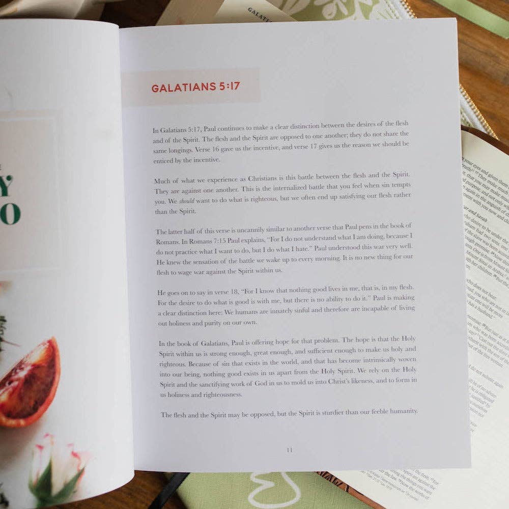 The Daily Grace Co - The Fruit of the Spirit Bible Study