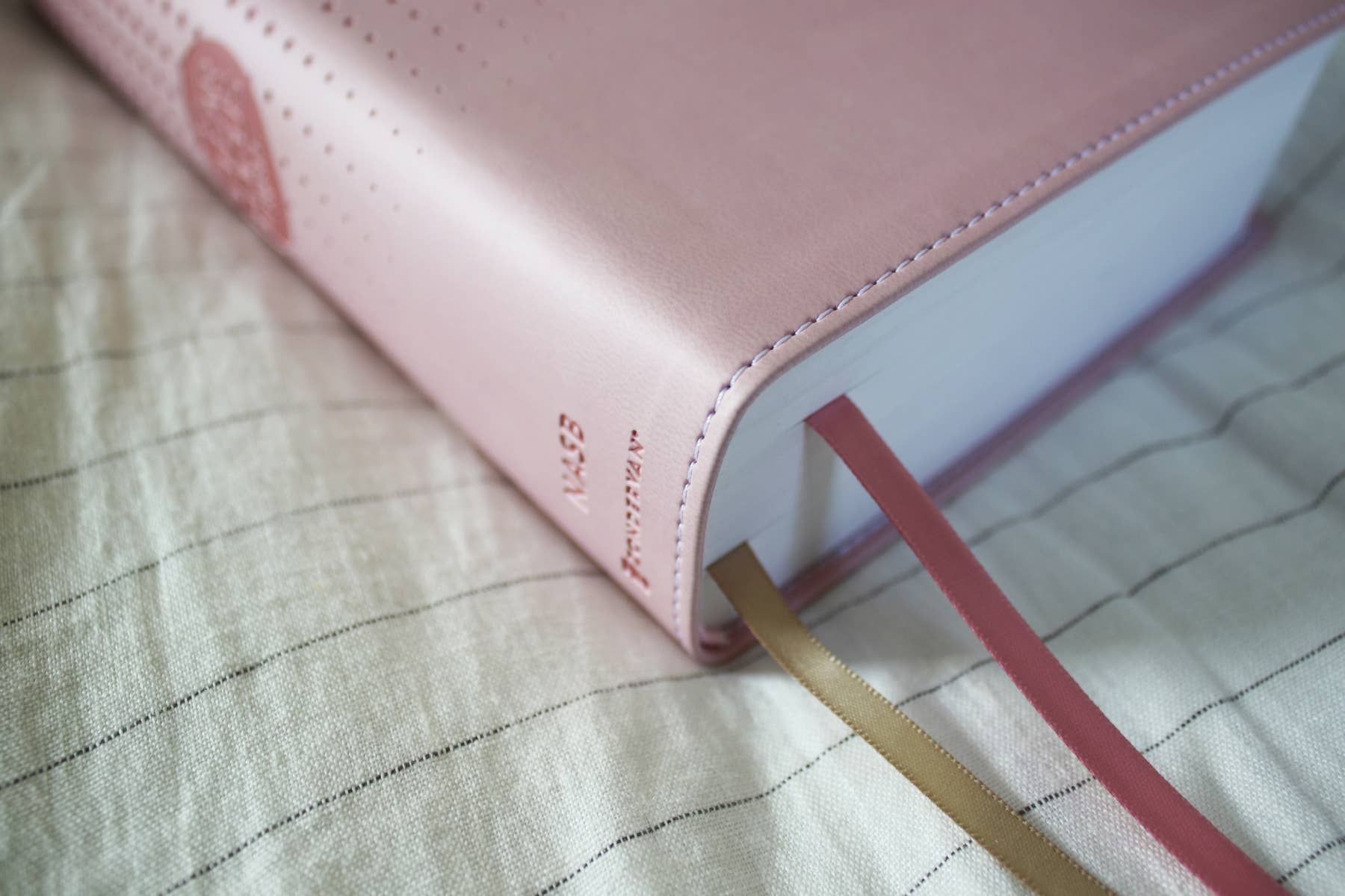 HarperCollins Christian Publishing - NASB, Clear Focus Bible, Leathersoft, Pink
