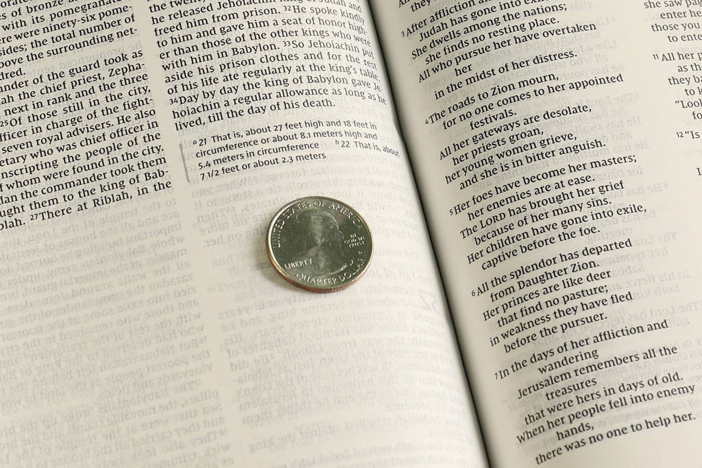 HarperCollins Christian Publishing - NIV Value Thinline Bible Leathersoft Pink