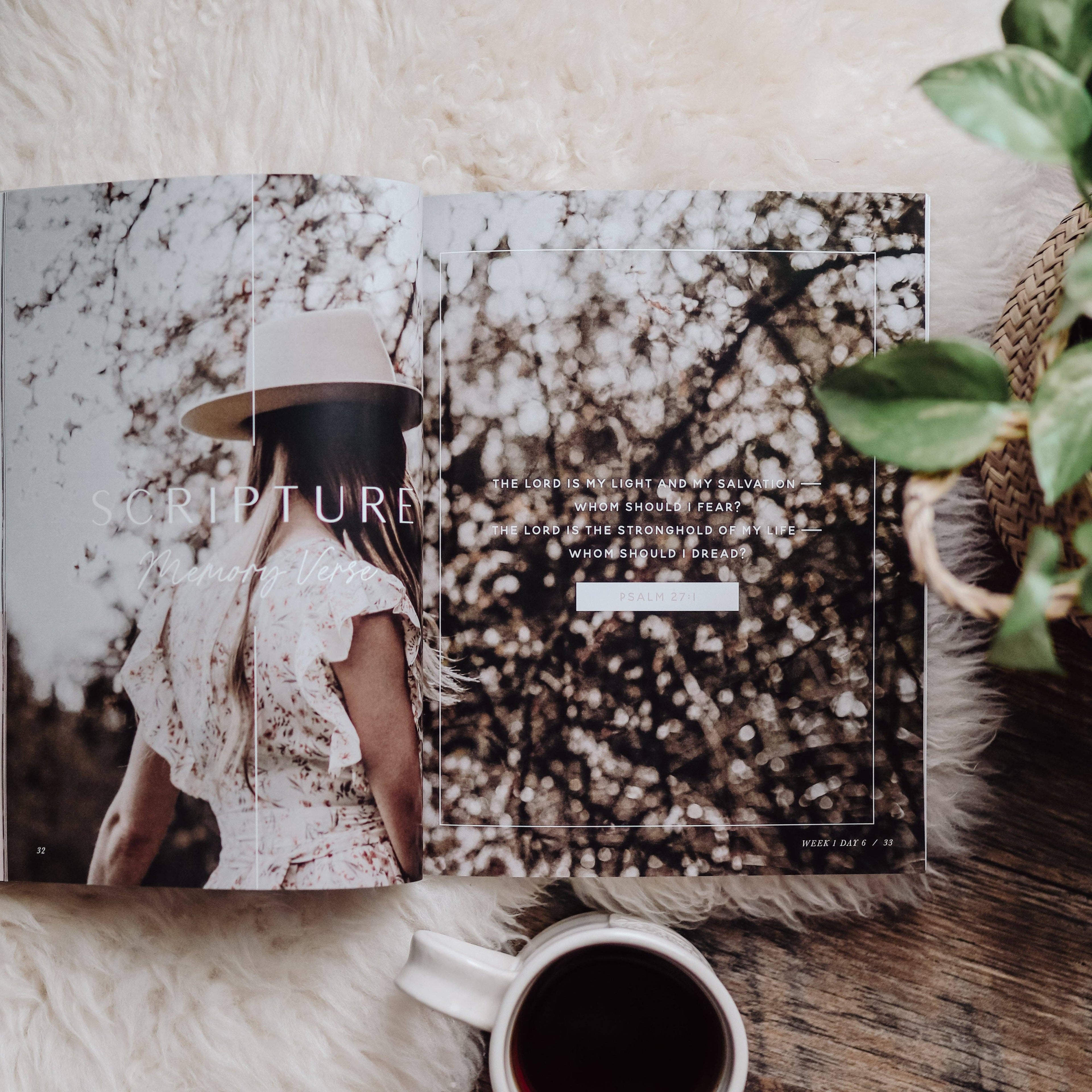 The Daily Grace Co - When Fear Meets Faith