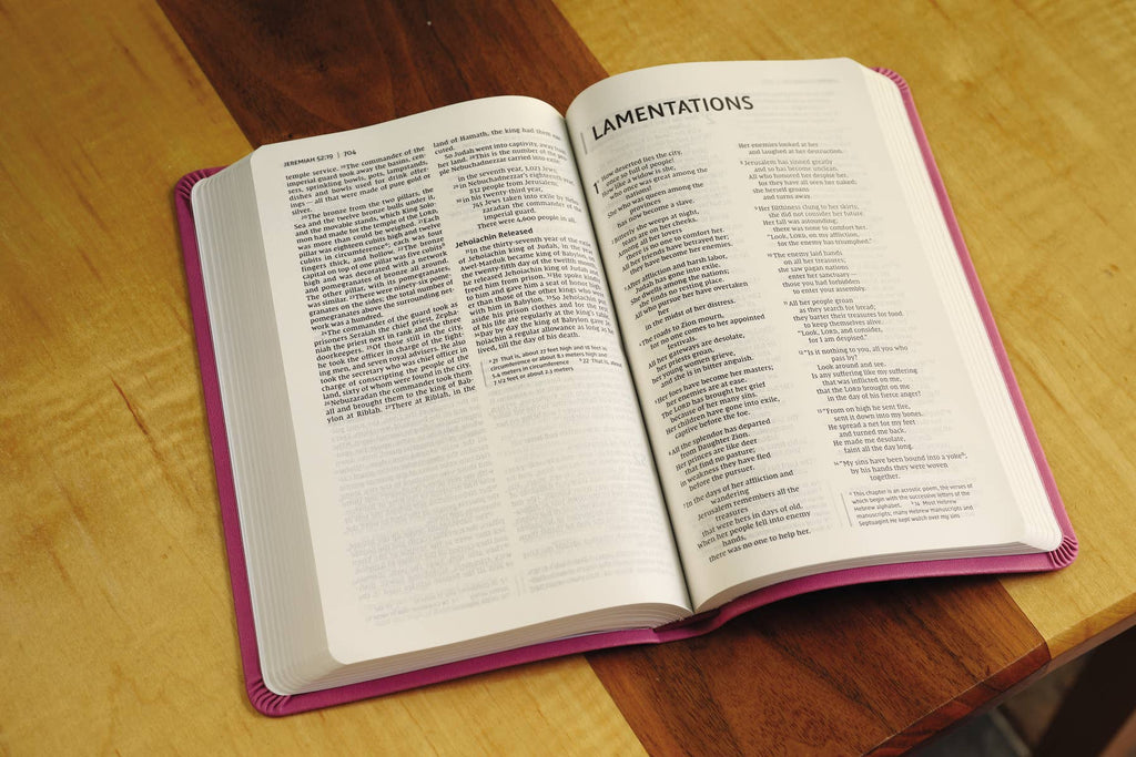 HarperCollins Christian Publishing - NIV Value Thinline Bible Leathersoft Pink
