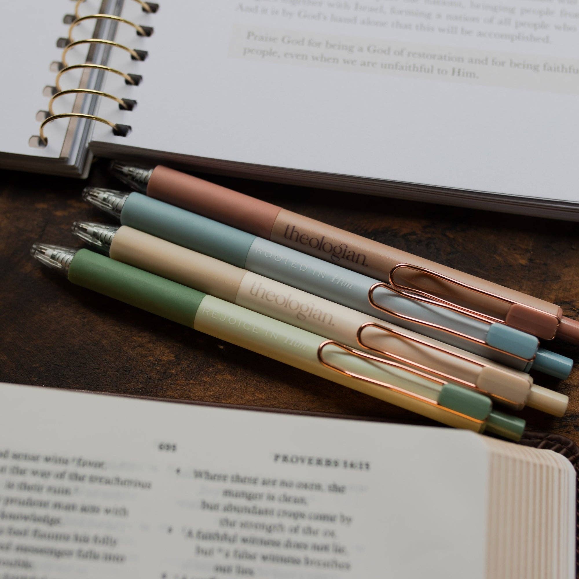 The Daily Grace Co - Theologian Pen Set
