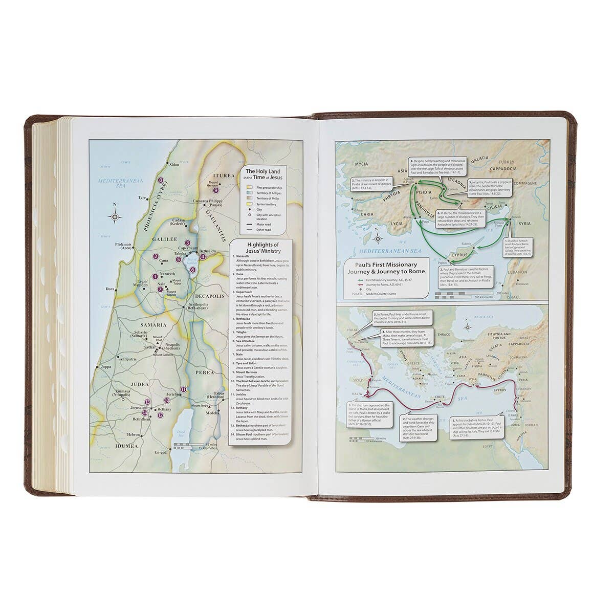 Christian Art Gifts - KJV Bible Giant Print Full-size Faux Leather, Crown/Amazing