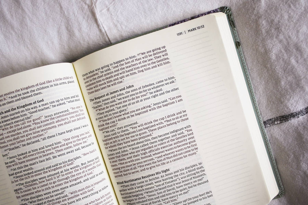 HarperCollins Christian Publishing - NIV Artisan Collection Bible LP Leathersoft Sage Floral