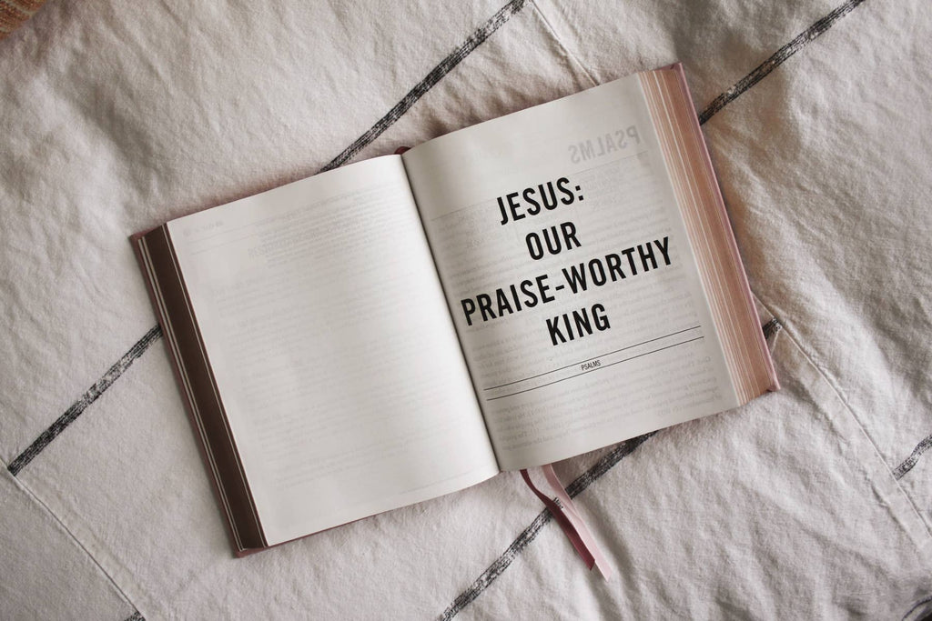 HarperCollins Christian Publishing - ESV The Jesus Bible Leathersoft Over Board Pink