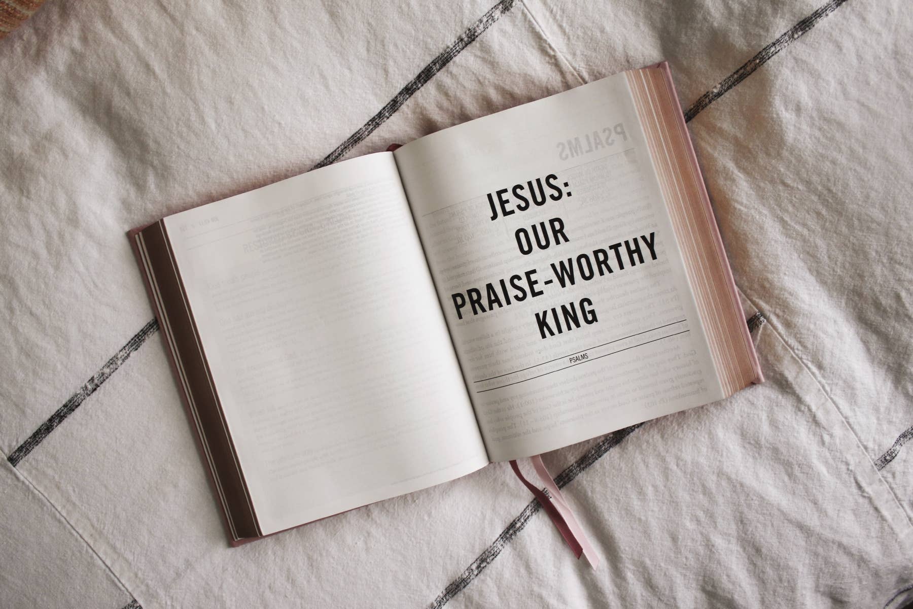 HarperCollins Christian Publishing - ESV The Jesus Bible Leathersoft Over Board Pink