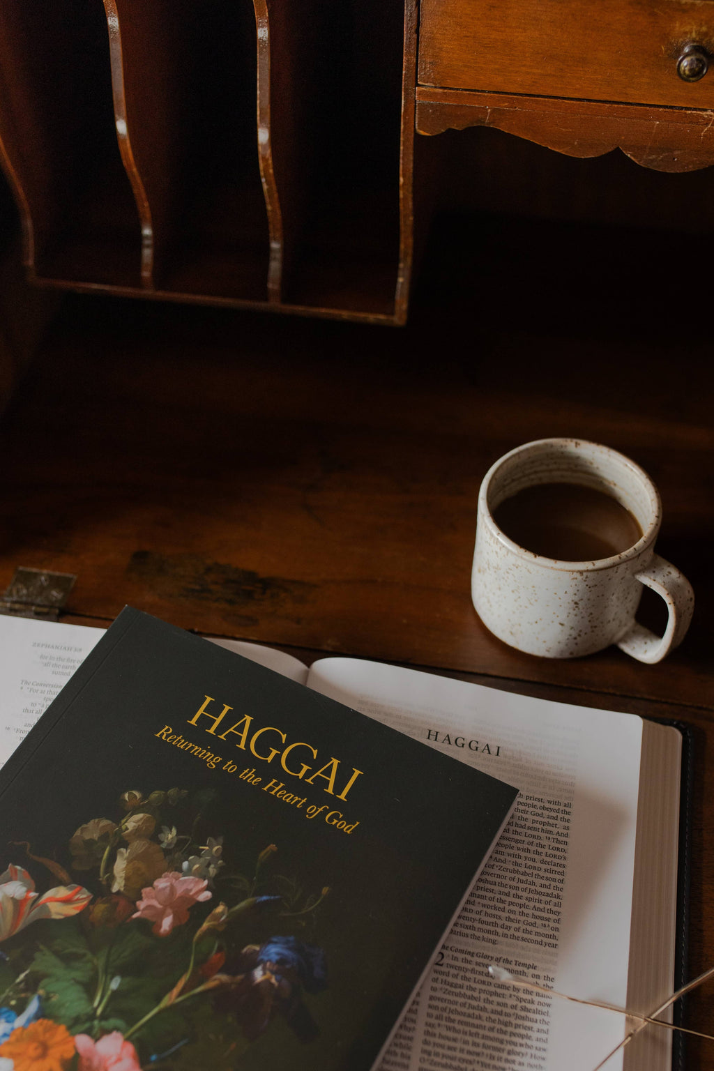 The Daily Grace Co - Haggai