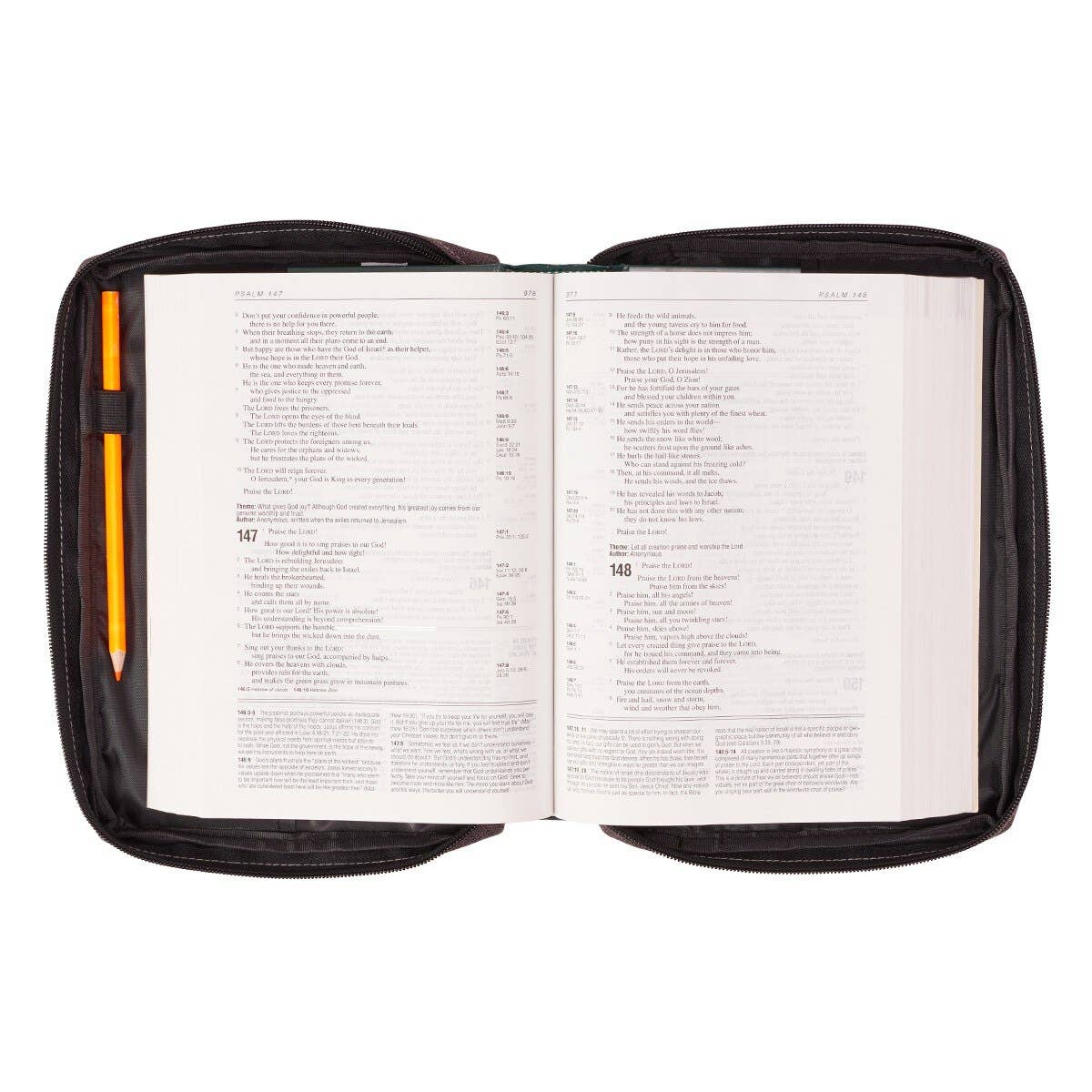 Christian Art Gifts - Bible Cover Value Gray Ichthus Patch