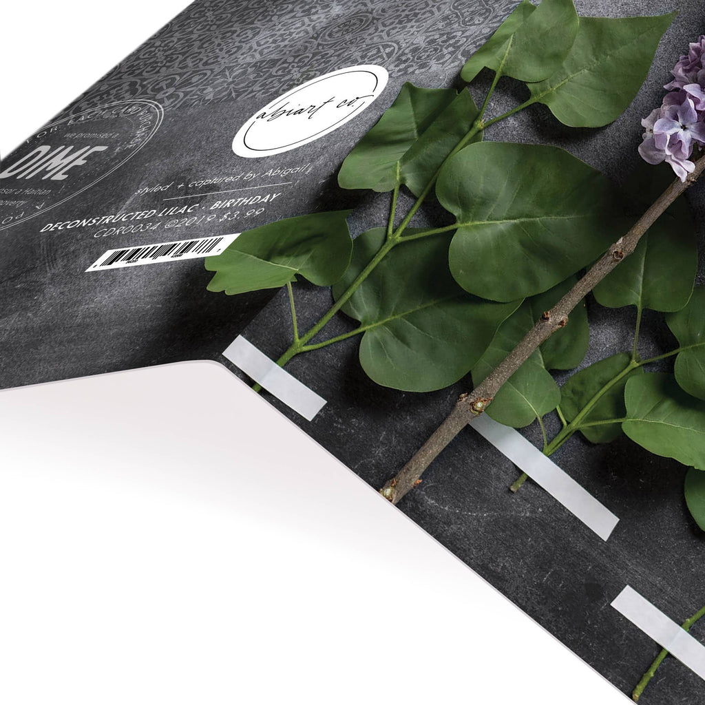P. Graham Dunn - Deconstructed Lilac