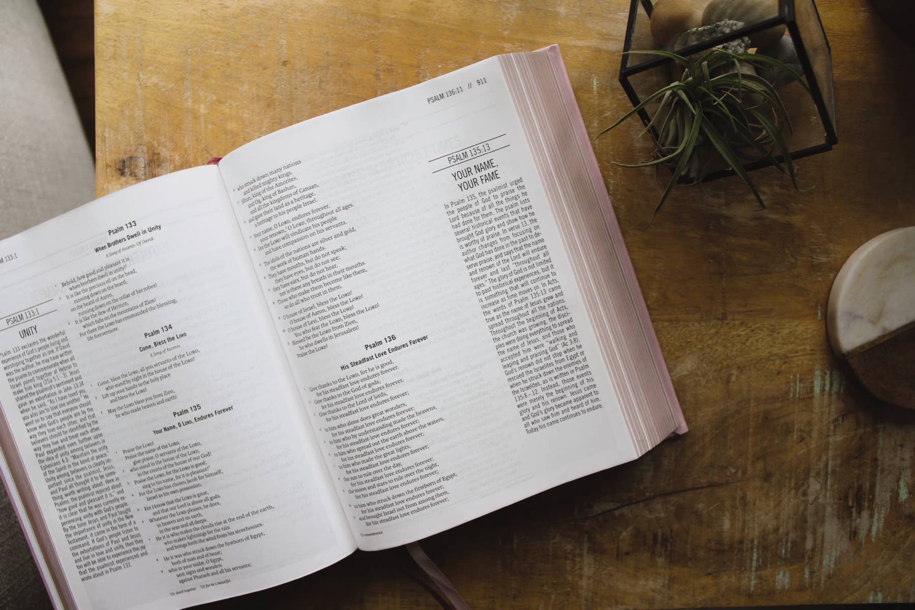 HarperCollins Christian Publishing - ESV The Jesus Bible Leathersoft Over Board Pink