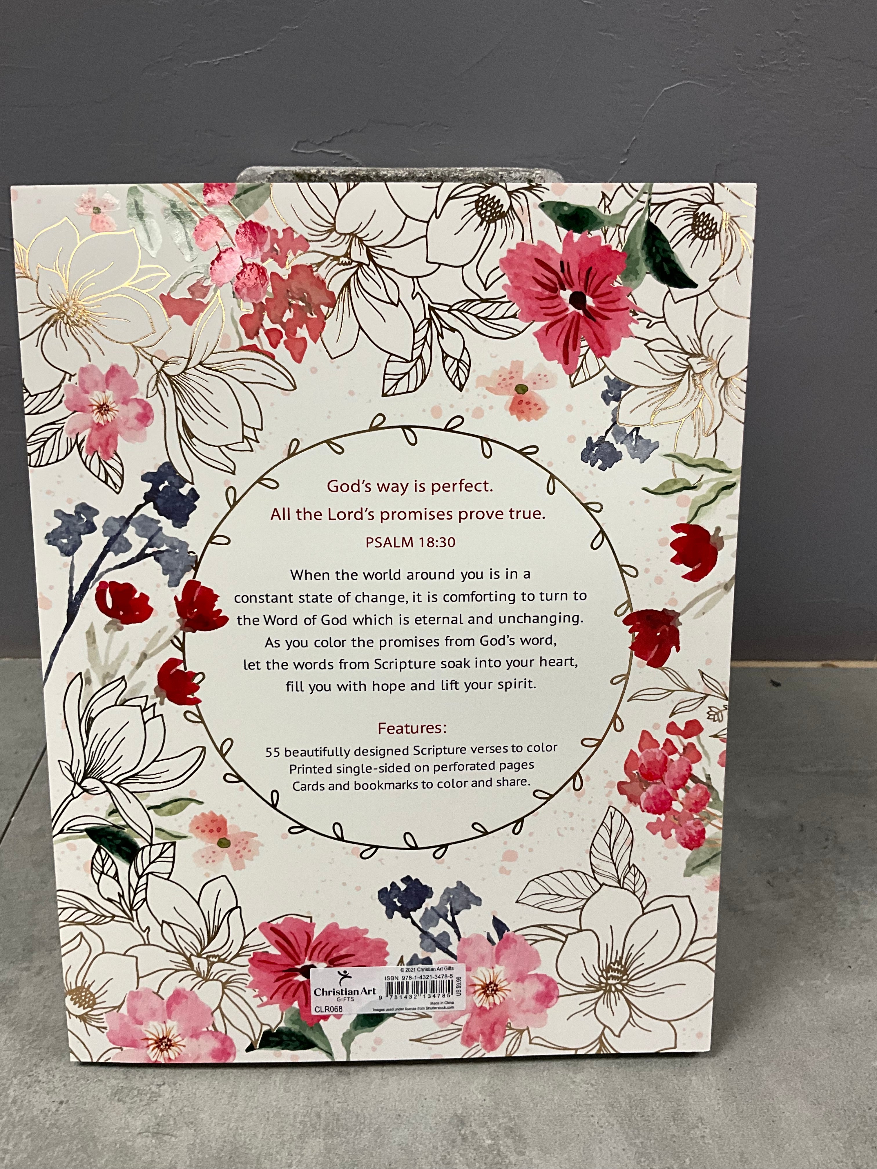 Coloring Book The Promises of God