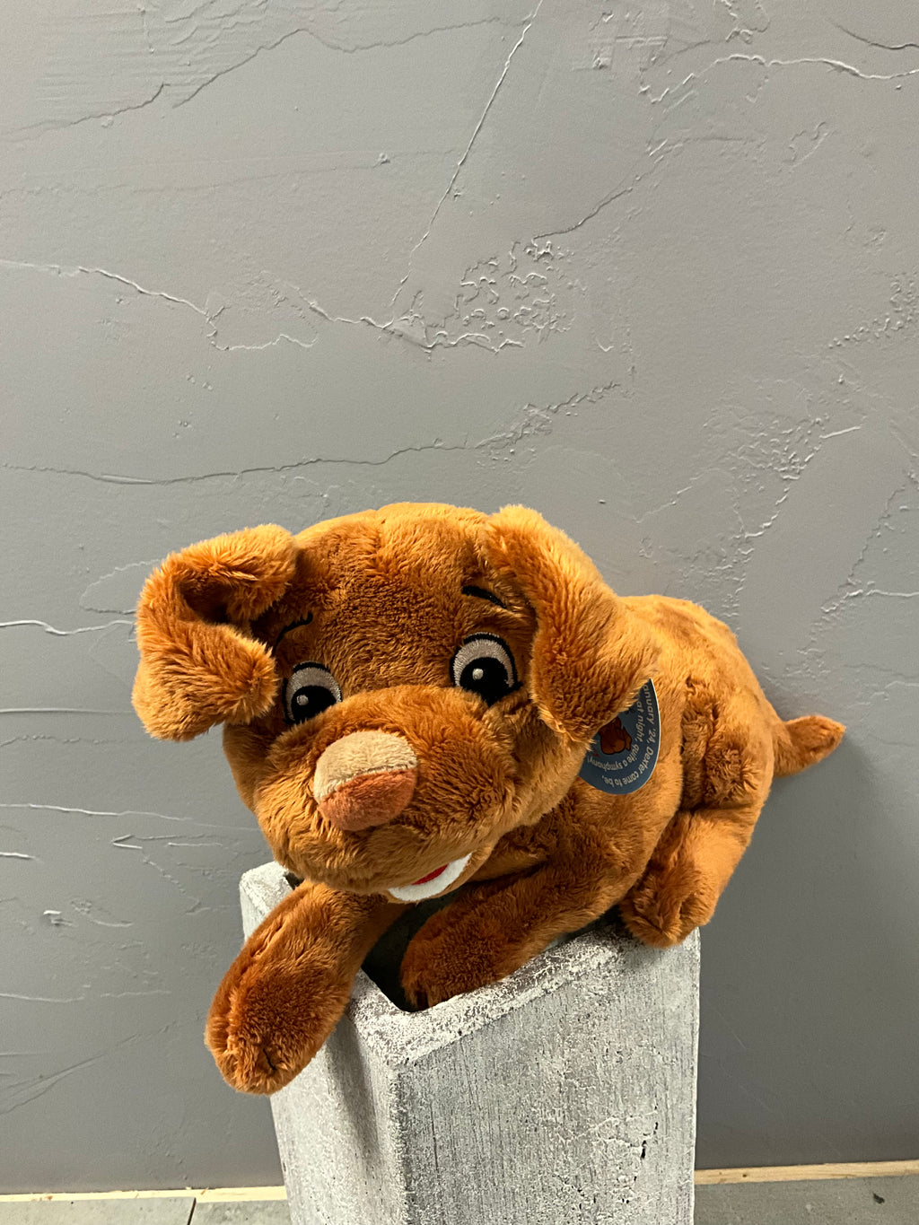 All About the Alphabet Stuffed Animals