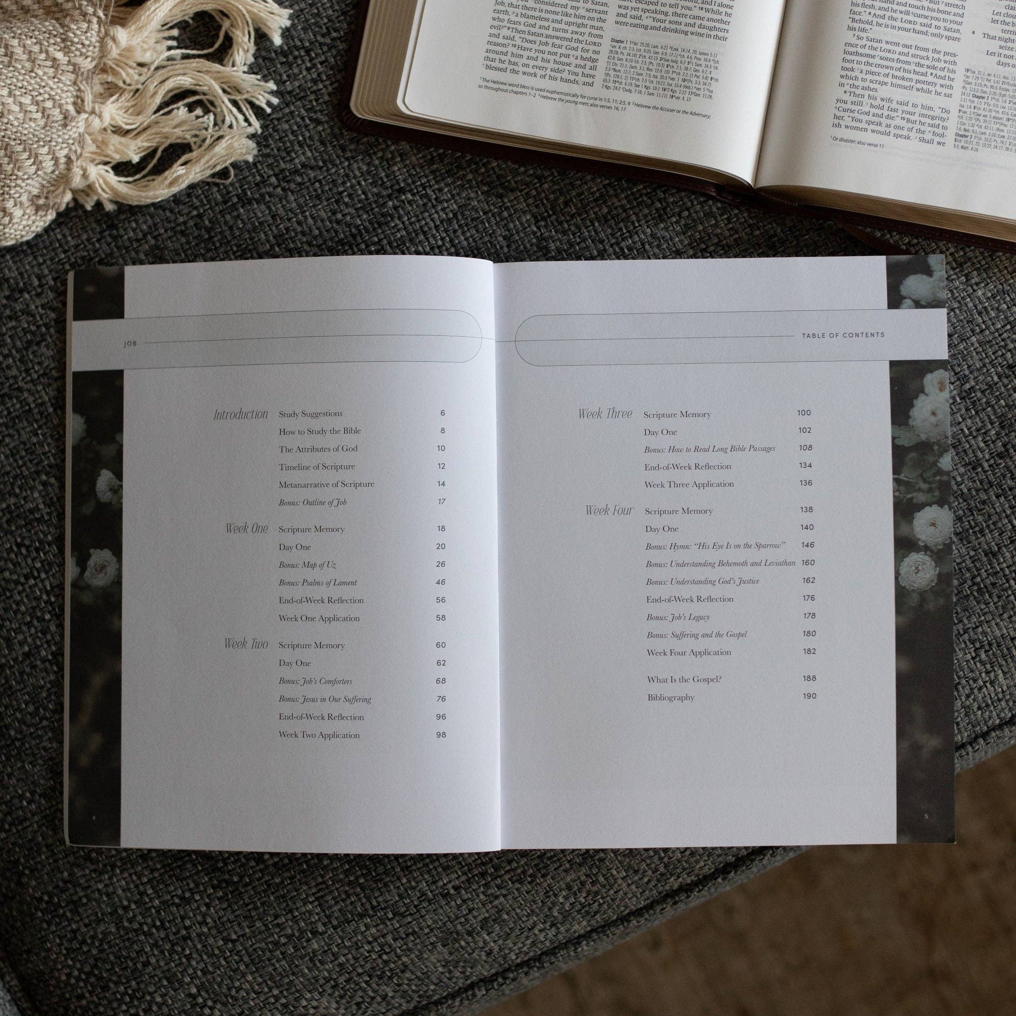 The Daily Grace Co - Job Bible Study