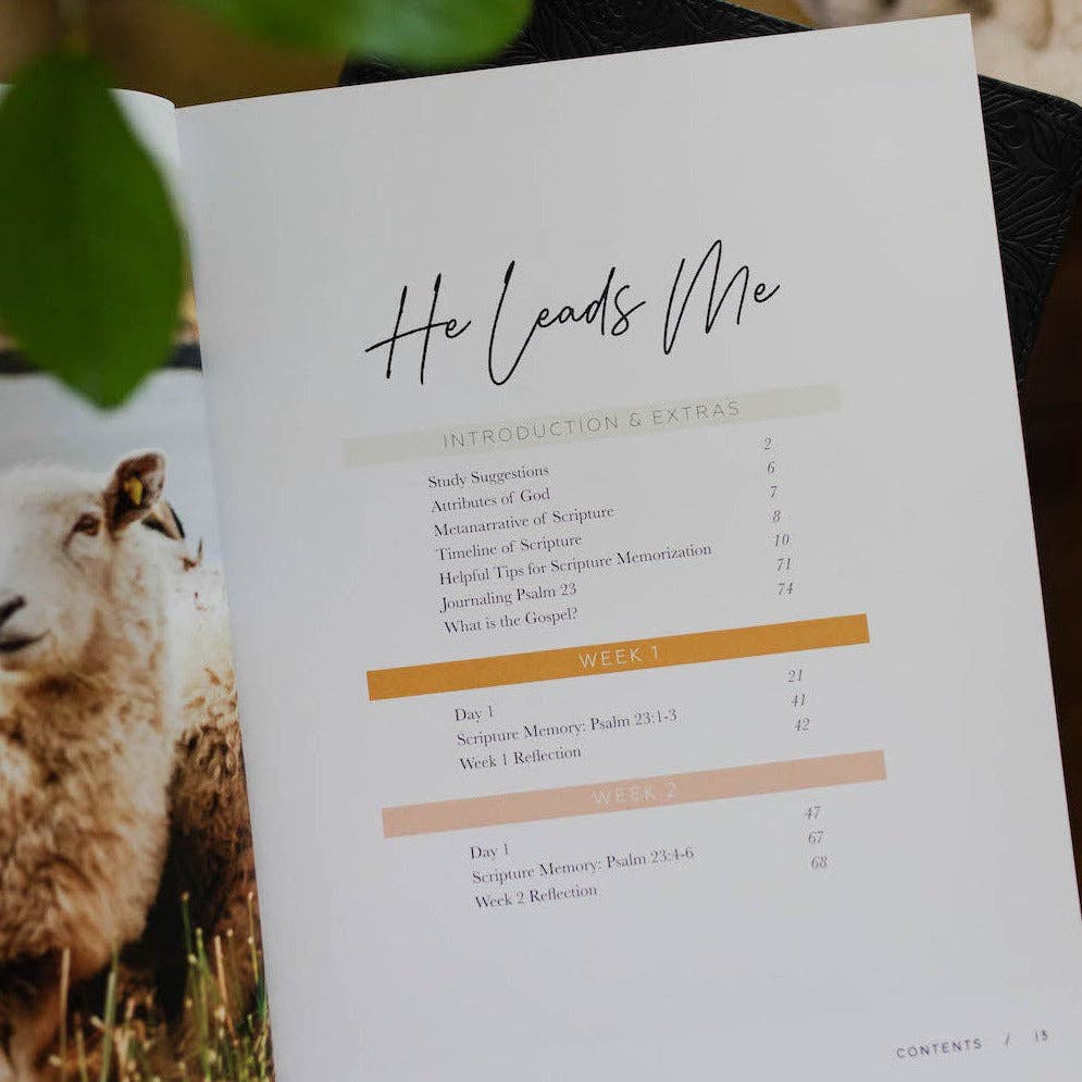 The Daily Grace Co - He Leads Me Bible Study