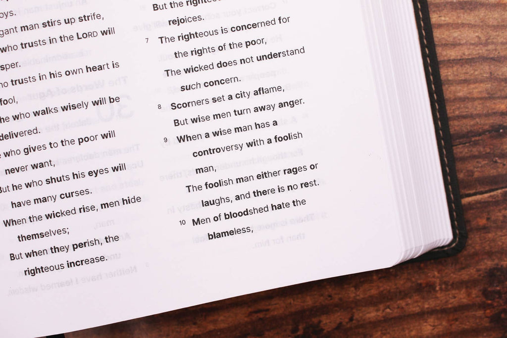 HarperCollins Christian Publishing - NASB, Clear Focus Bible, Leathersoft, Charcoal Brown