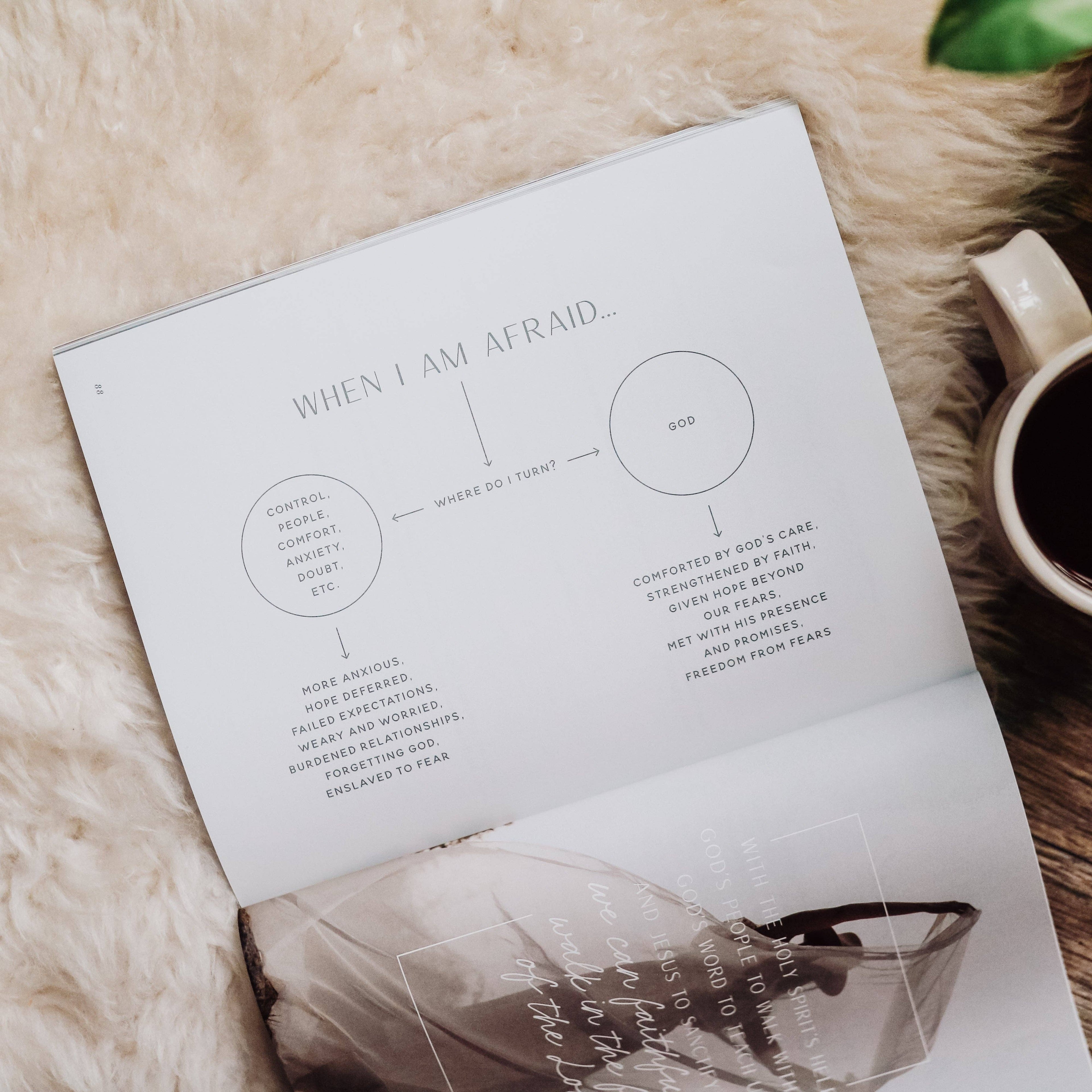 The Daily Grace Co - When Fear Meets Faith