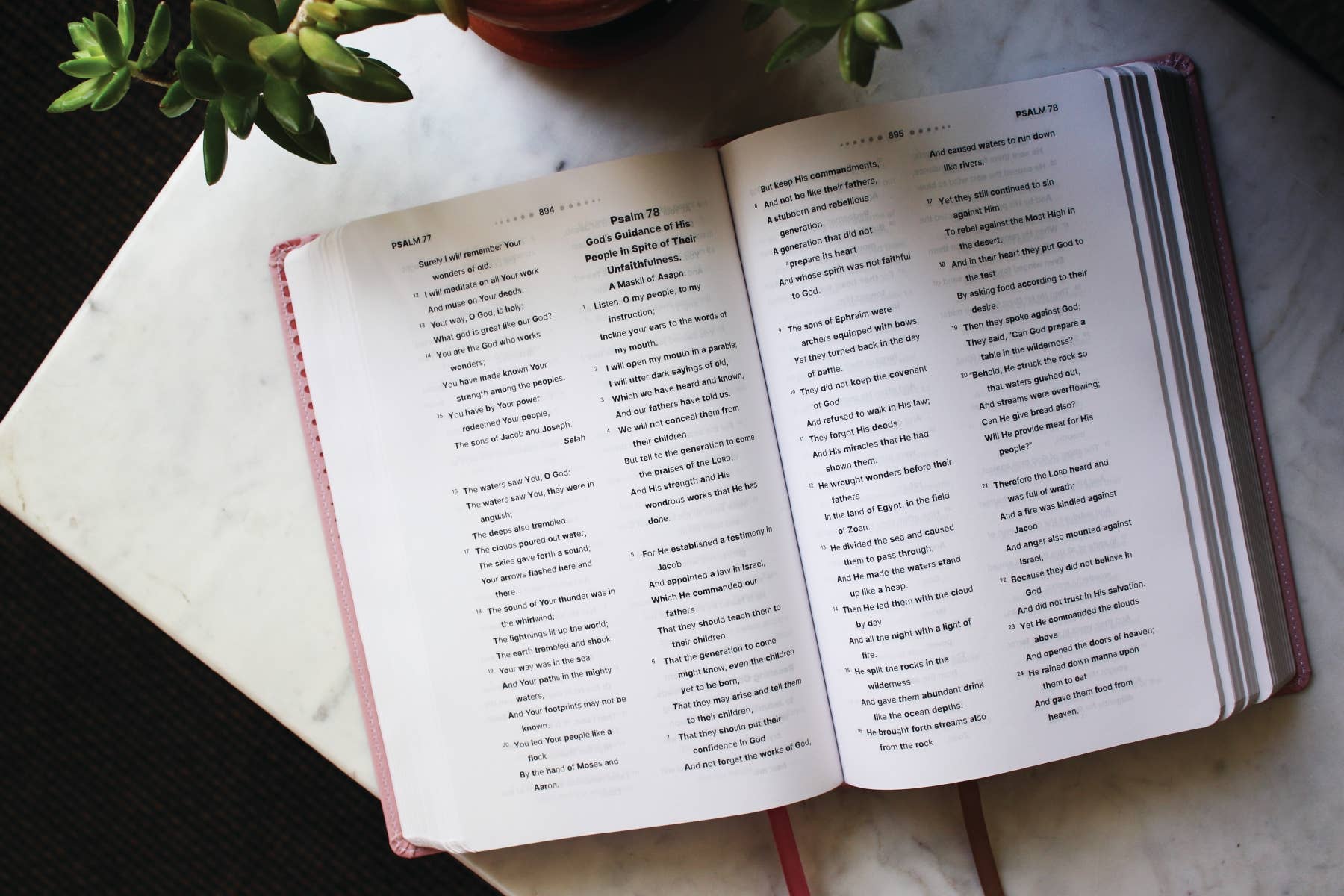 HarperCollins Christian Publishing - NASB, Clear Focus Bible, Leathersoft, Pink