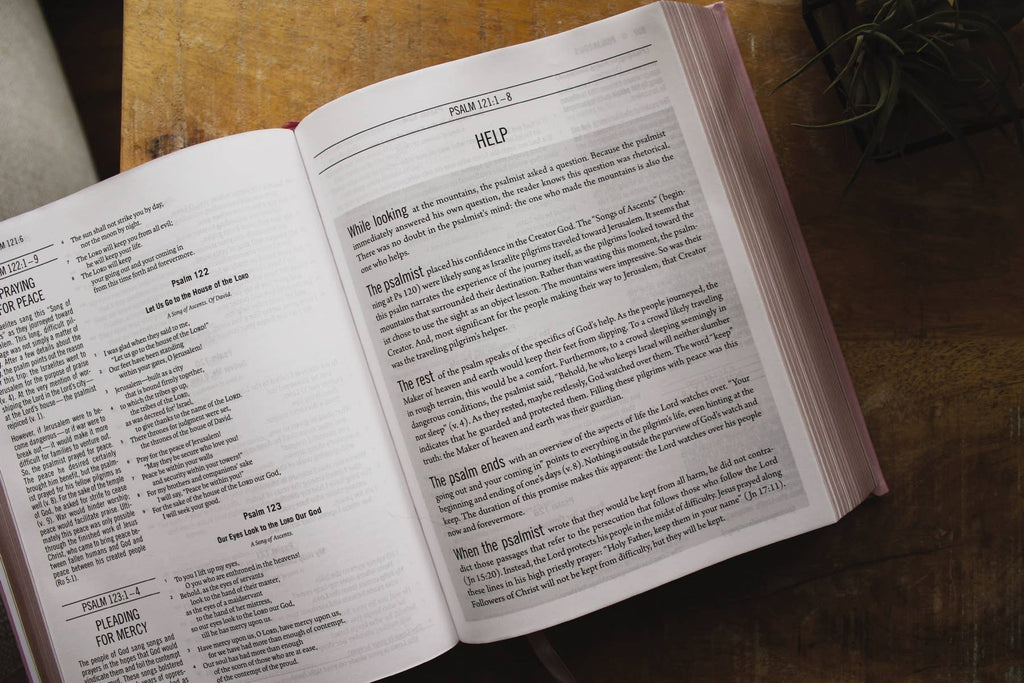 HarperCollins Christian Publishing - ESV The Jesus Bible Leathersoft Over Board Pink