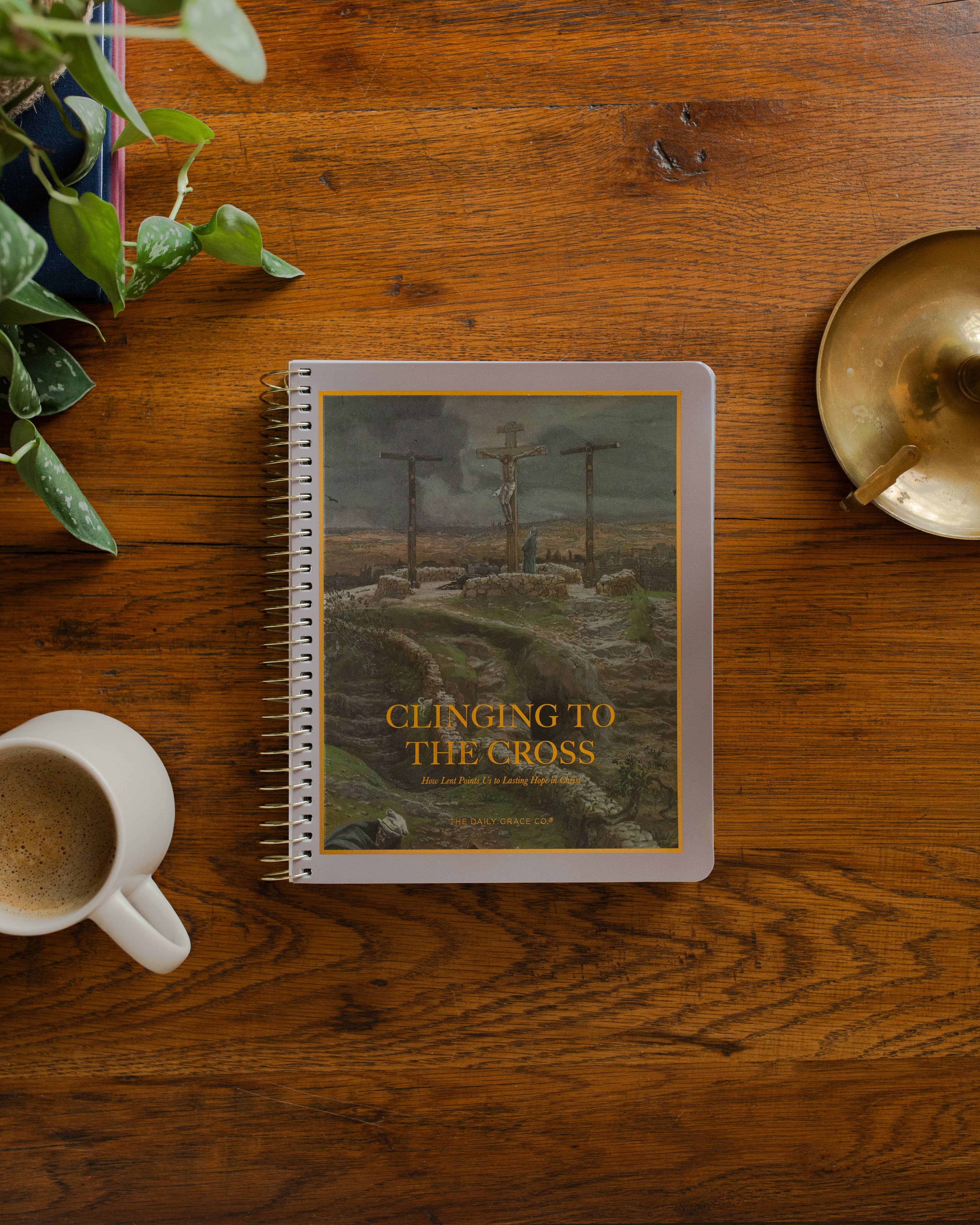 The Daily Grace Co - Clinging to the Cross | Lent Bible Study