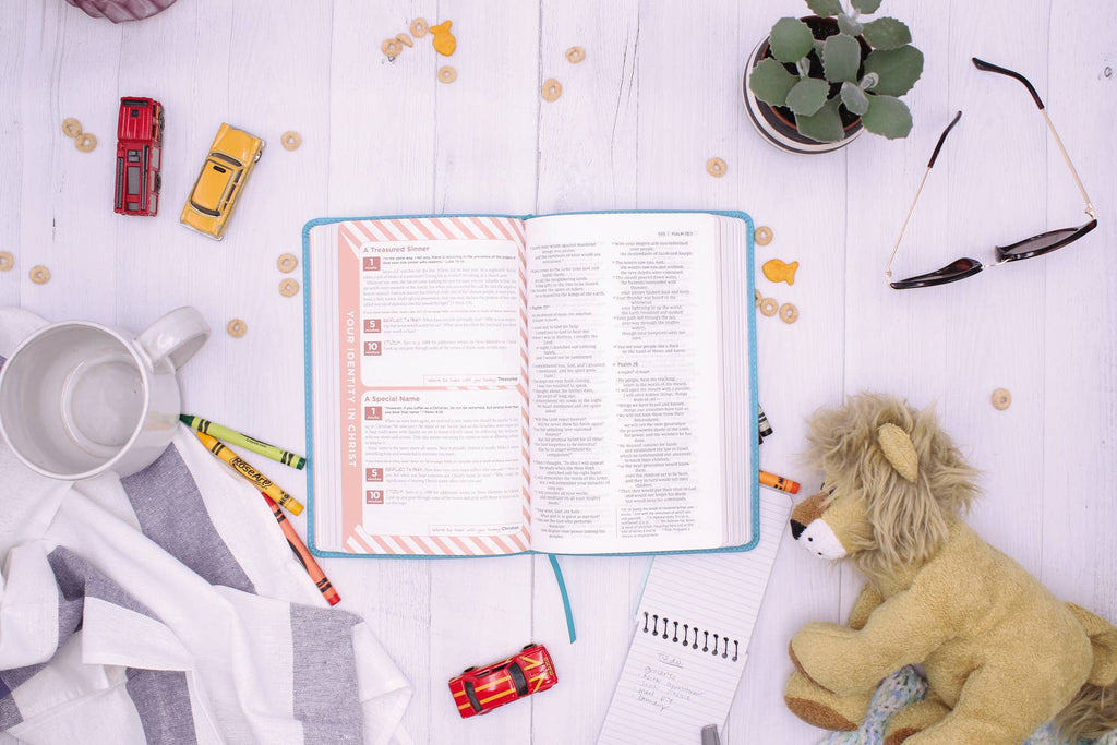 HarperCollins Christian Publishing - NIV The Busy Mom's Bible, Leathersoft, Teal, Red Letter
