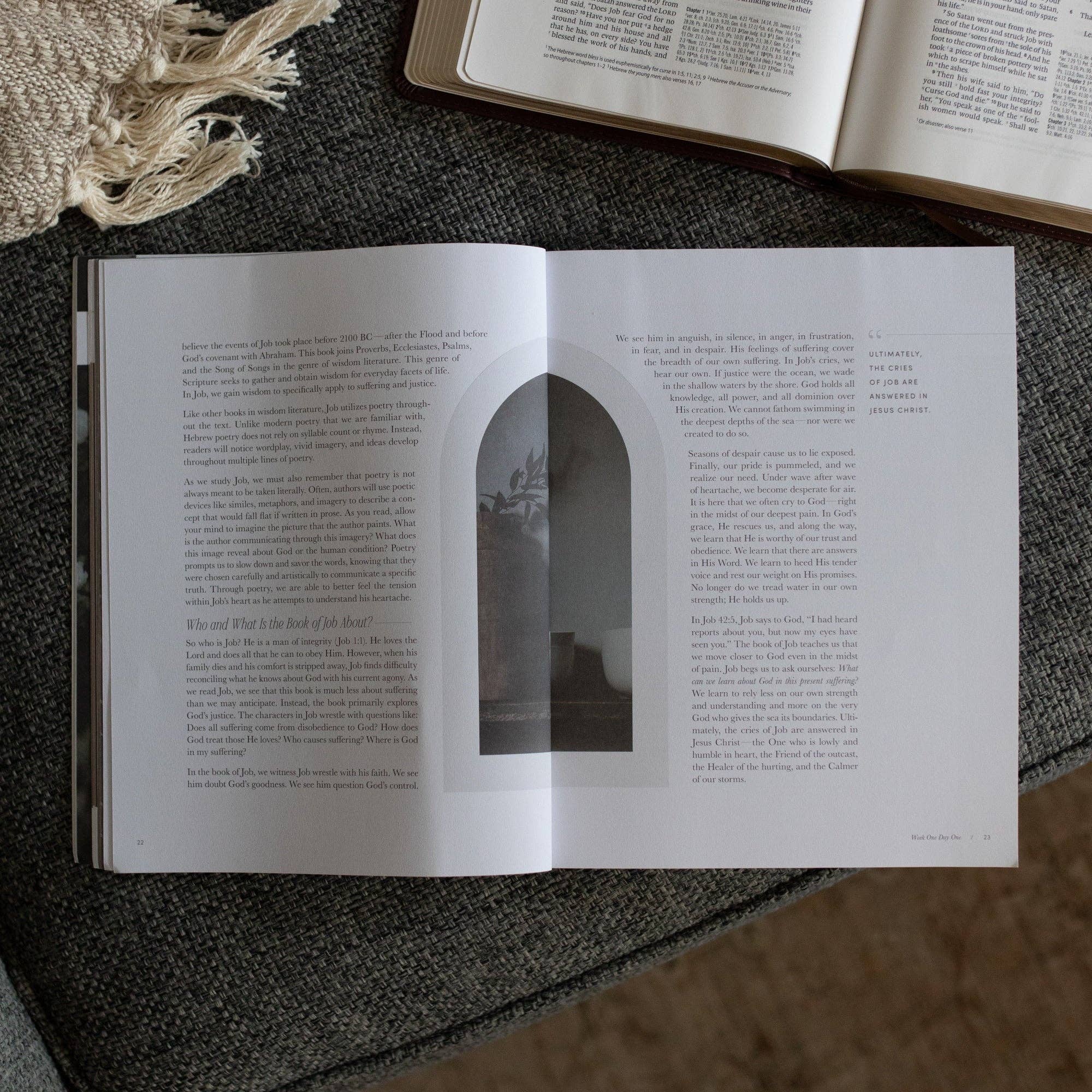The Daily Grace Co - Job Bible Study