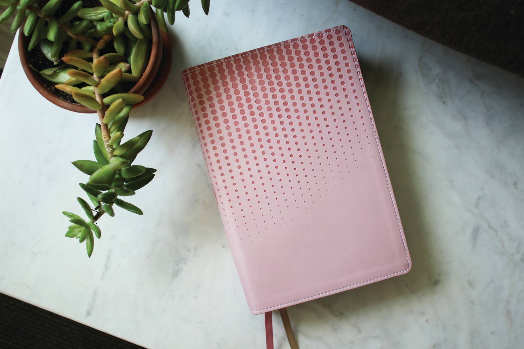 HarperCollins Christian Publishing - NASB, Clear Focus Bible, Leathersoft, Pink