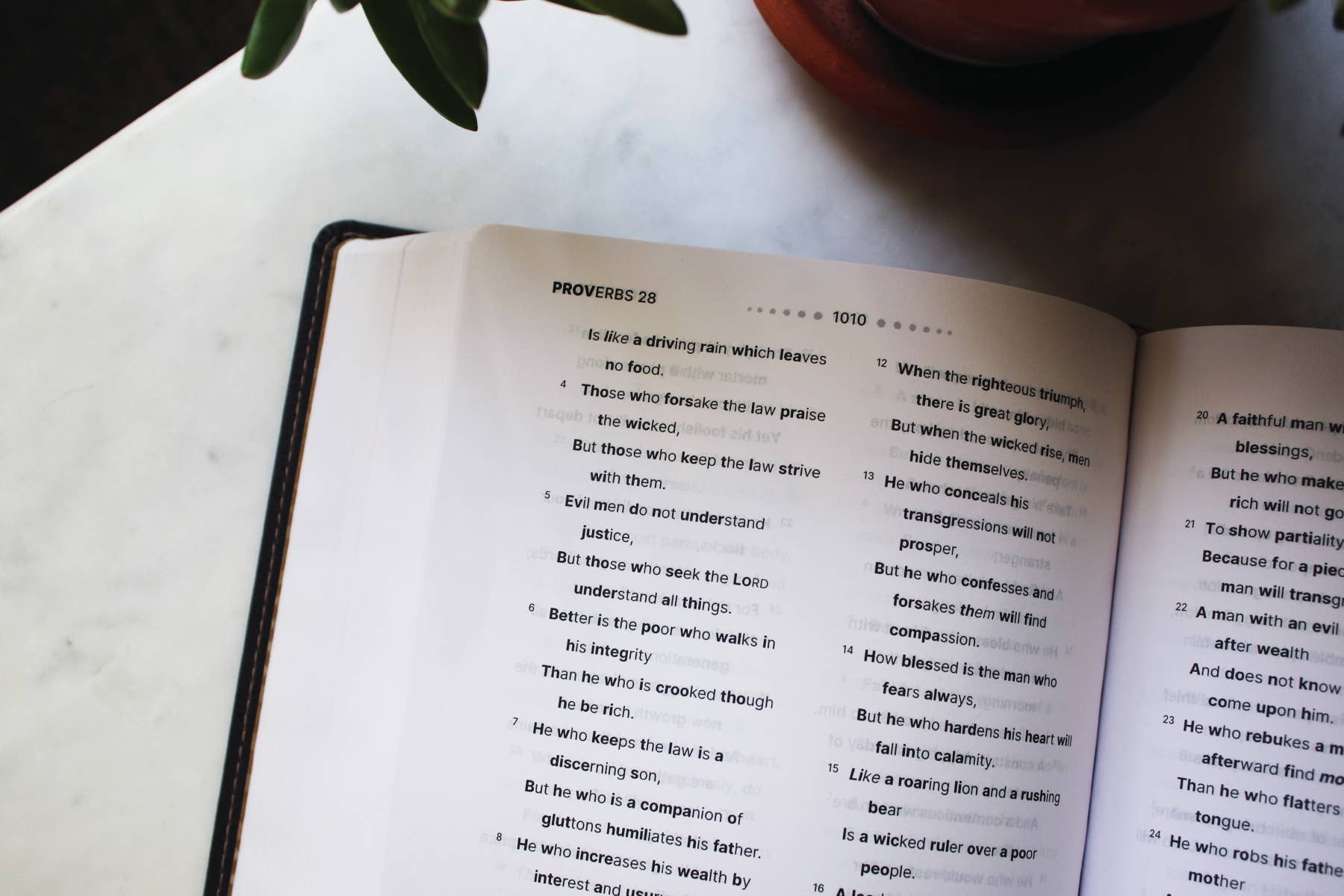 HarperCollins Christian Publishing - NASB, Clear Focus Bible, Leathersoft, Charcoal Brown