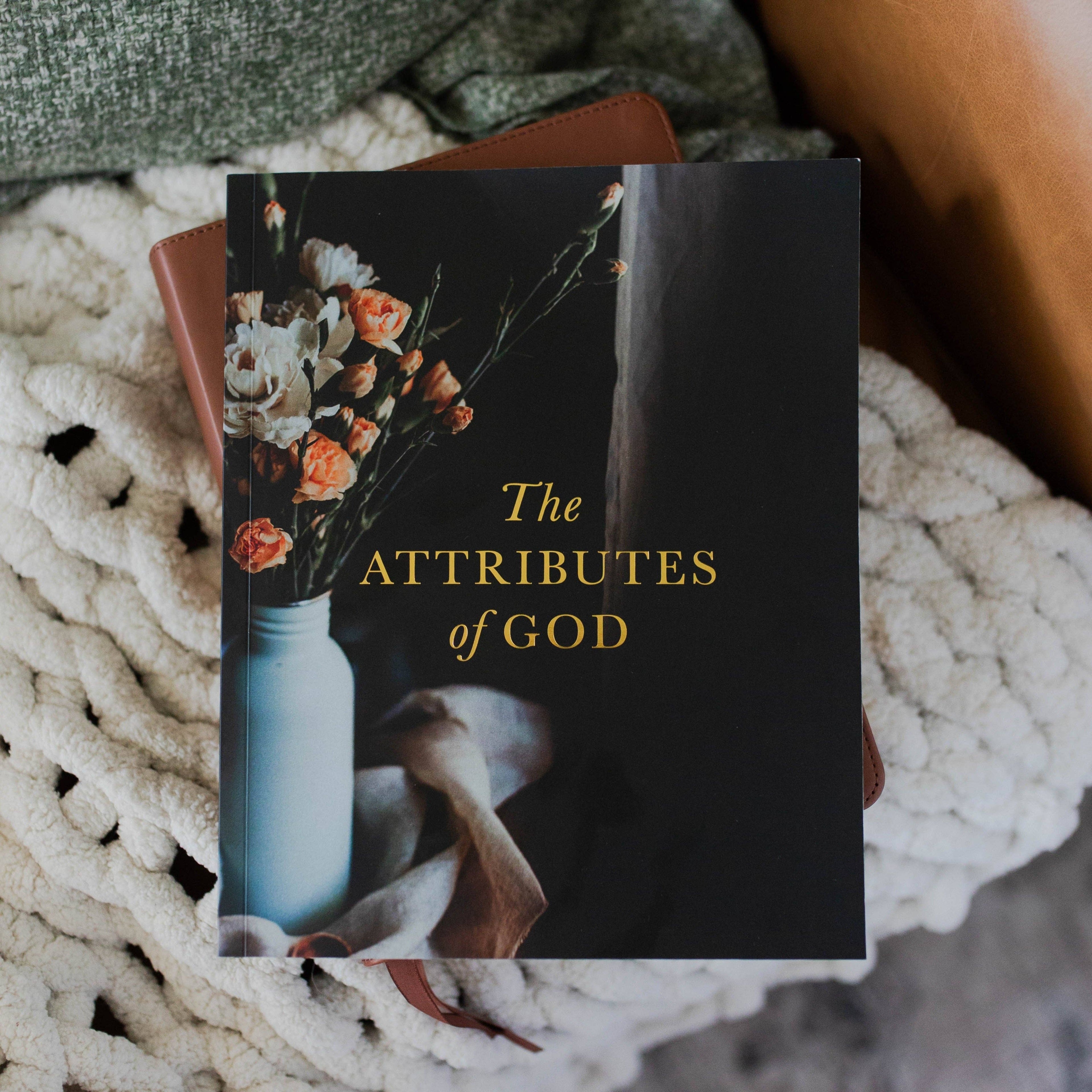 The Daily Grace Co - The Attributes of God Bible Study