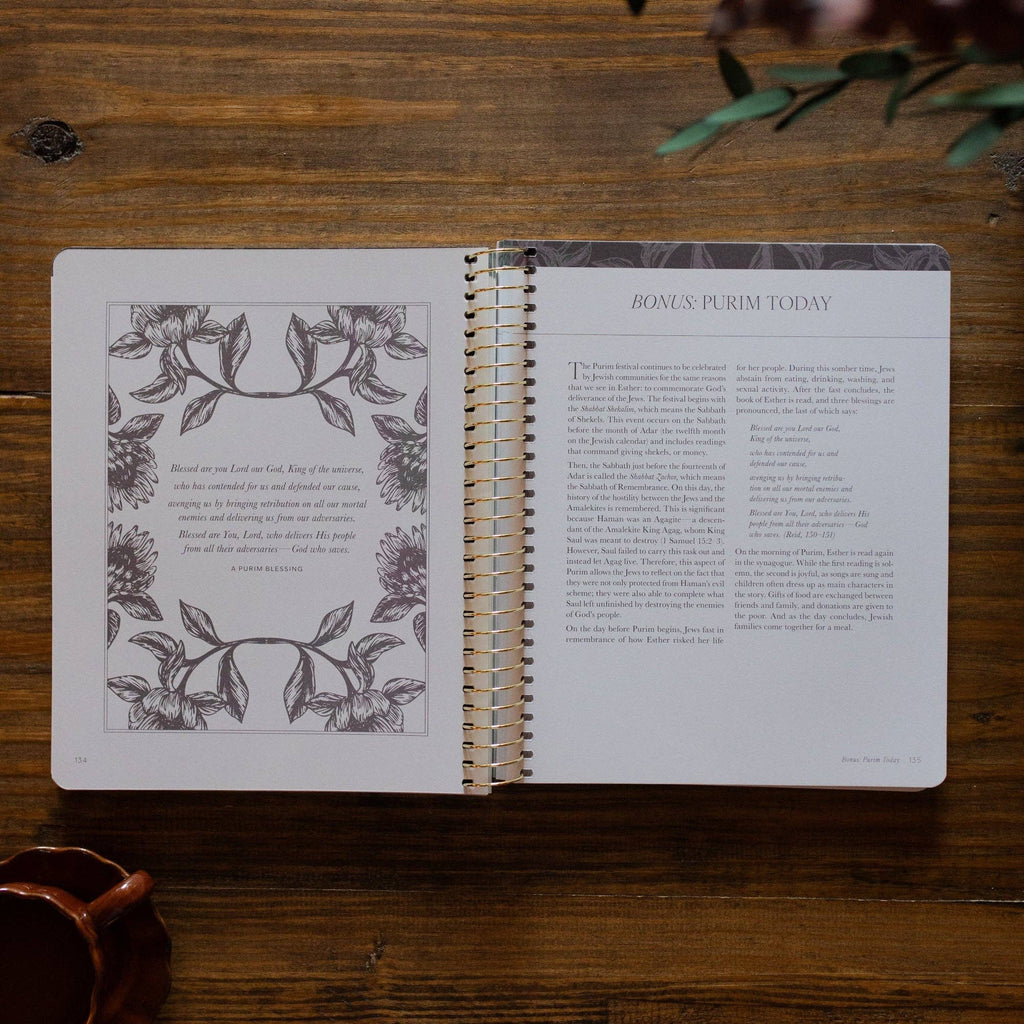 The Daily Grace Co - A Year in the Bible | 365 Days of Discovering the Beauty of Jesus from Genesis to Revelation | Volume 2
