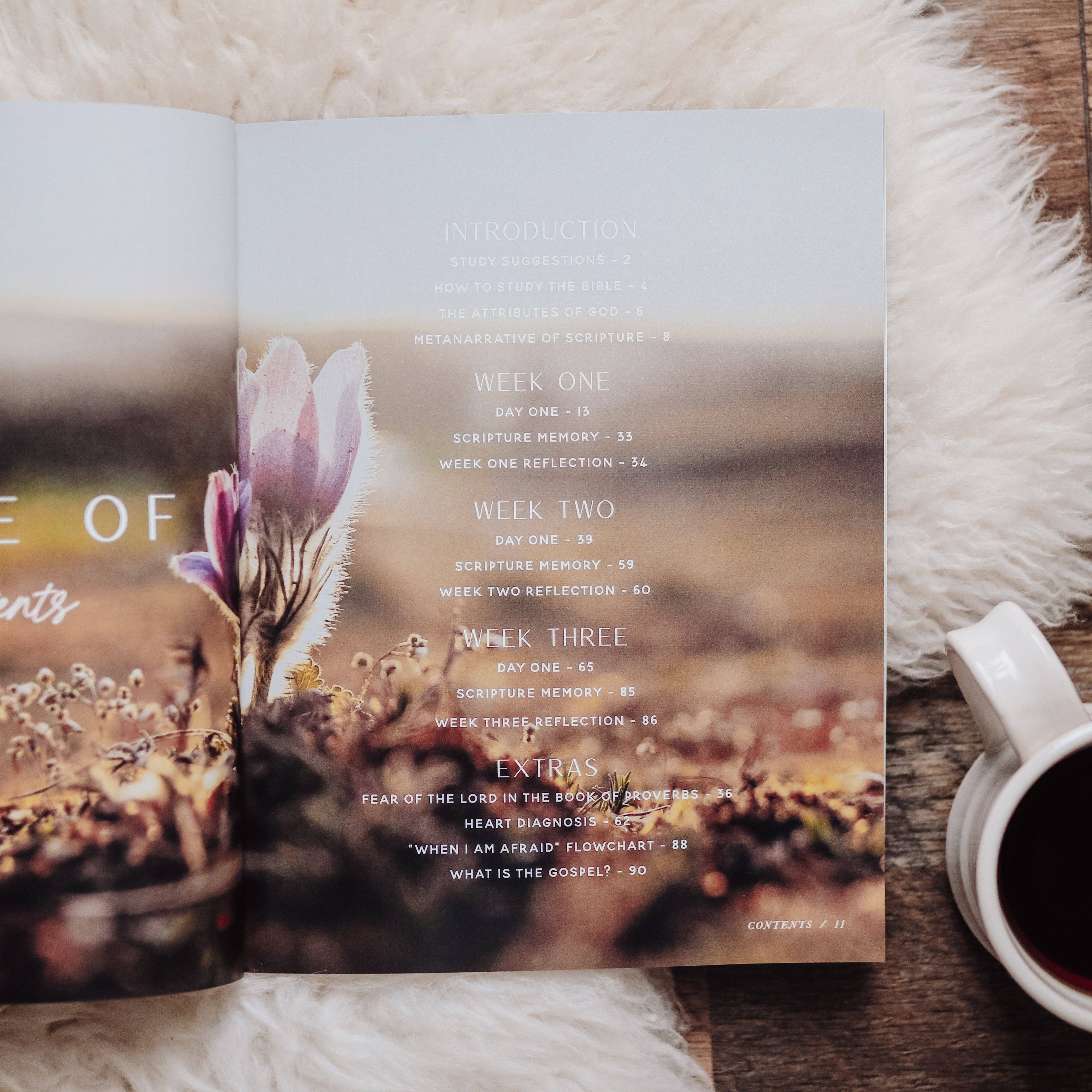 The Daily Grace Co - When Fear Meets Faith